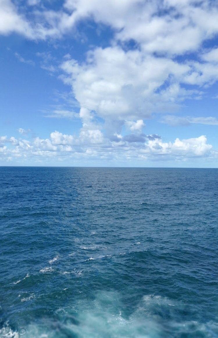 93A0DC4E-2839-4CE9-9313-A24A2FAF463F.jpeg