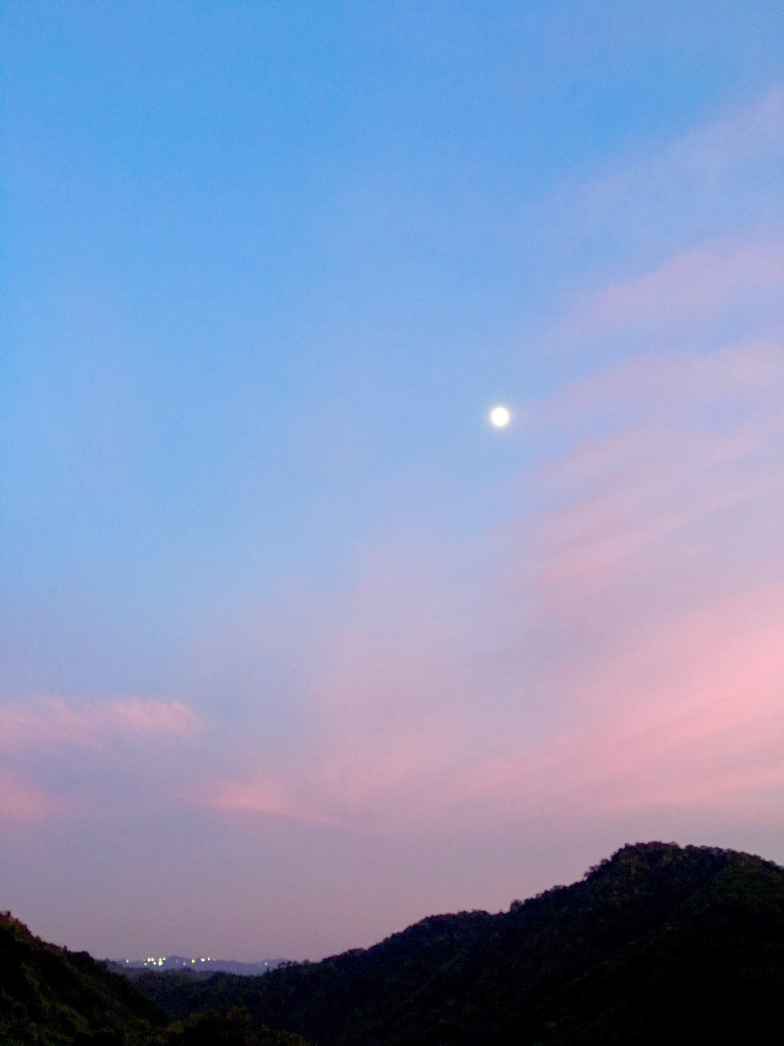 97368CF3-25F7-4C8B-9718-F4641442F2EA.jpeg