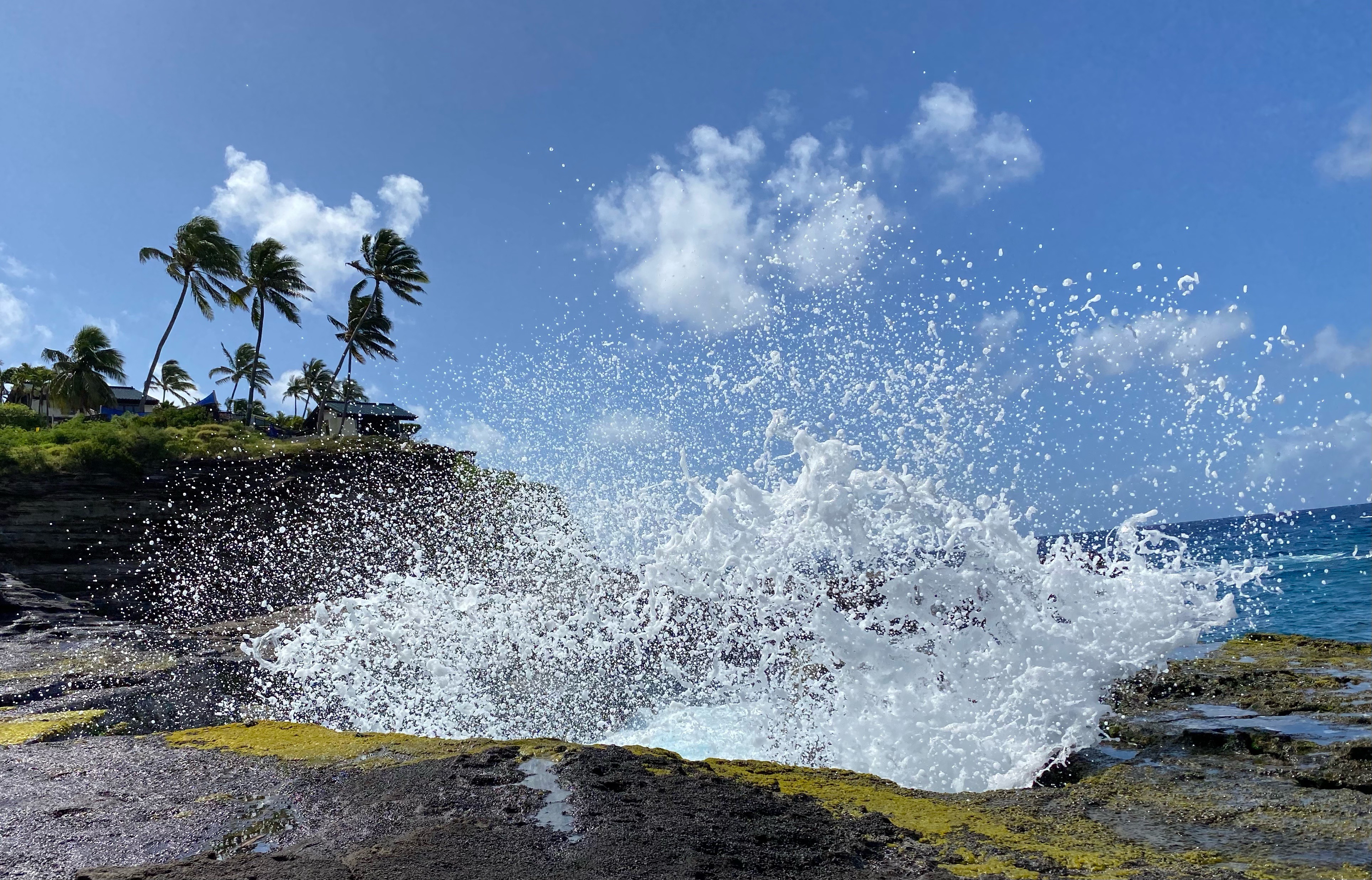 9A785E53-CC94-4F96-B87C-362E2E1C1139.jpeg