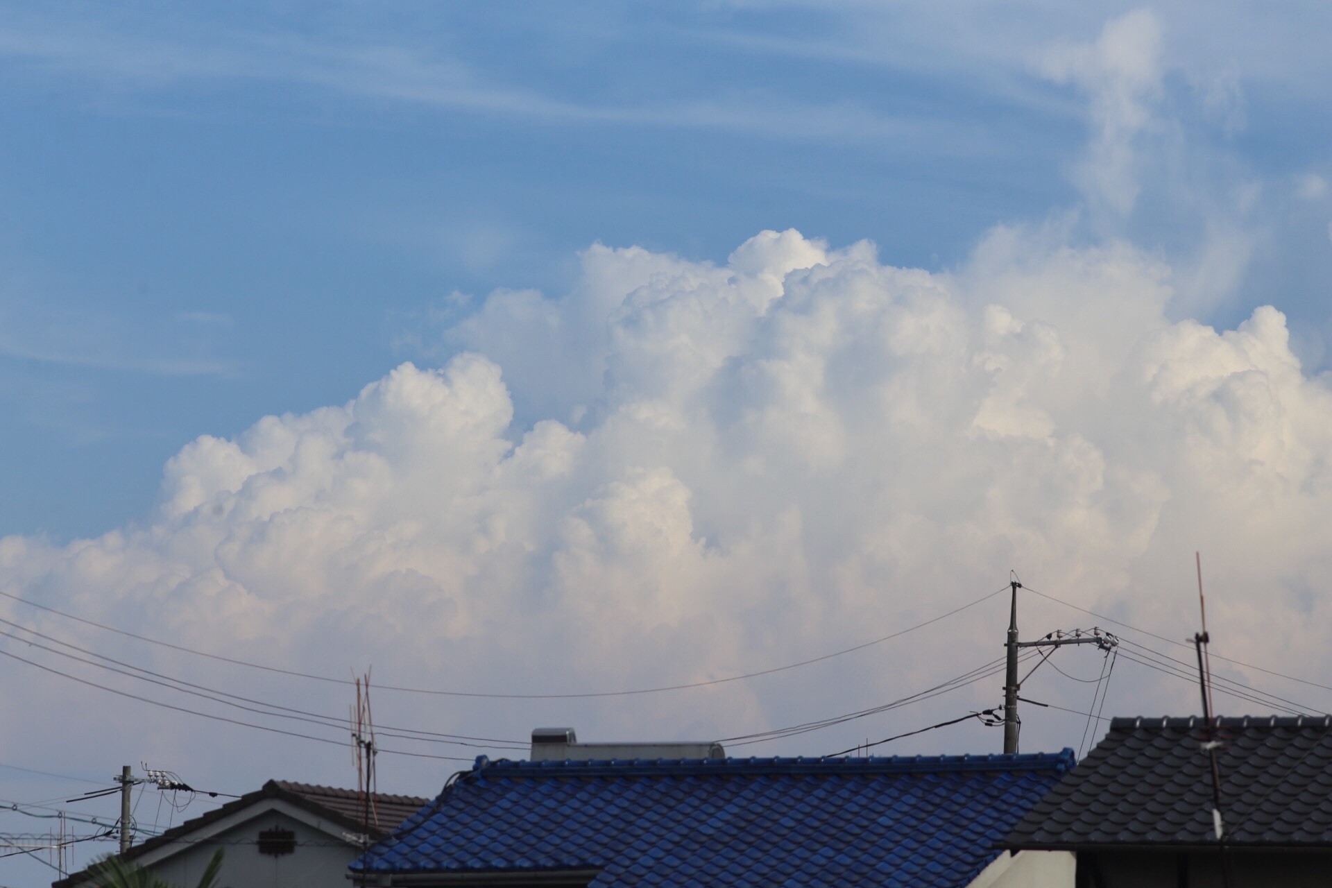 9C3A9555-F745-4380-93D1-98337201DB51.jpeg