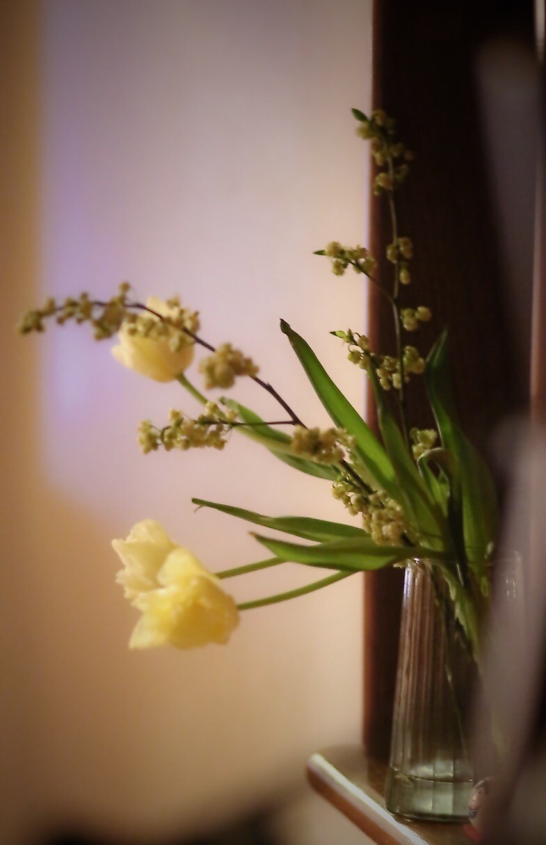 A1A32065-EBA3-4961-A777-DAD6CD71585C.jpeg