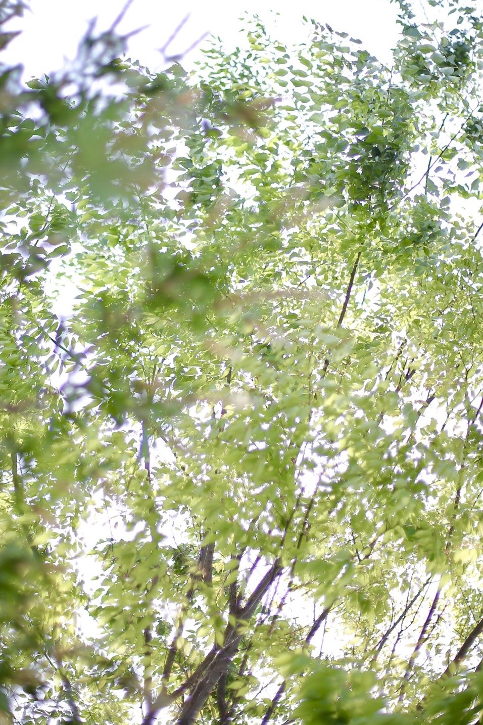 A4153860-78B1-4747-B87A-C08A3E56A197.jpeg