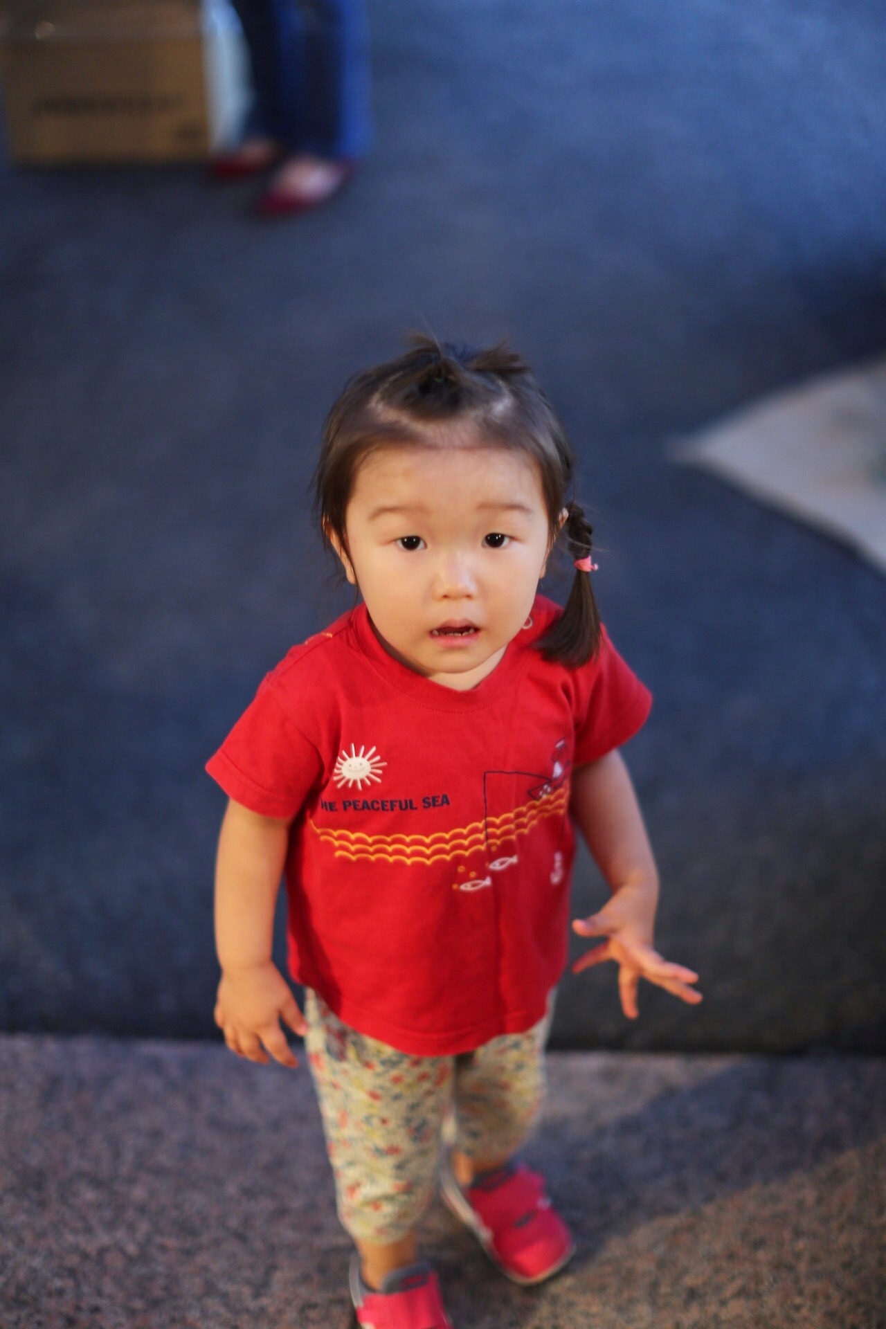 A460D5F9-2975-46C9-83A2-A6E0DF82F302.jpeg