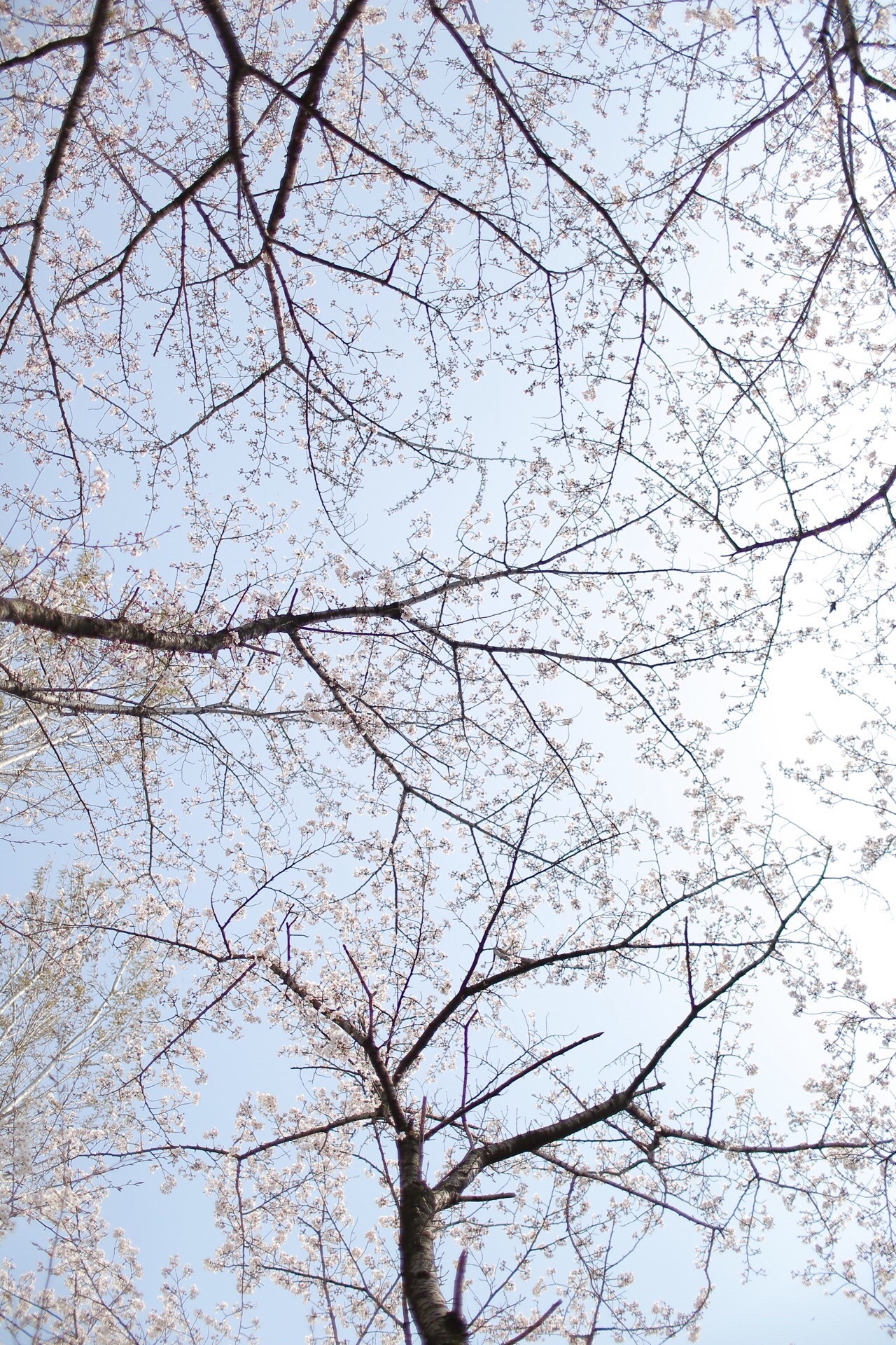 A78A2776-5CB7-45C9-AA13-56FD039A3C00.jpeg