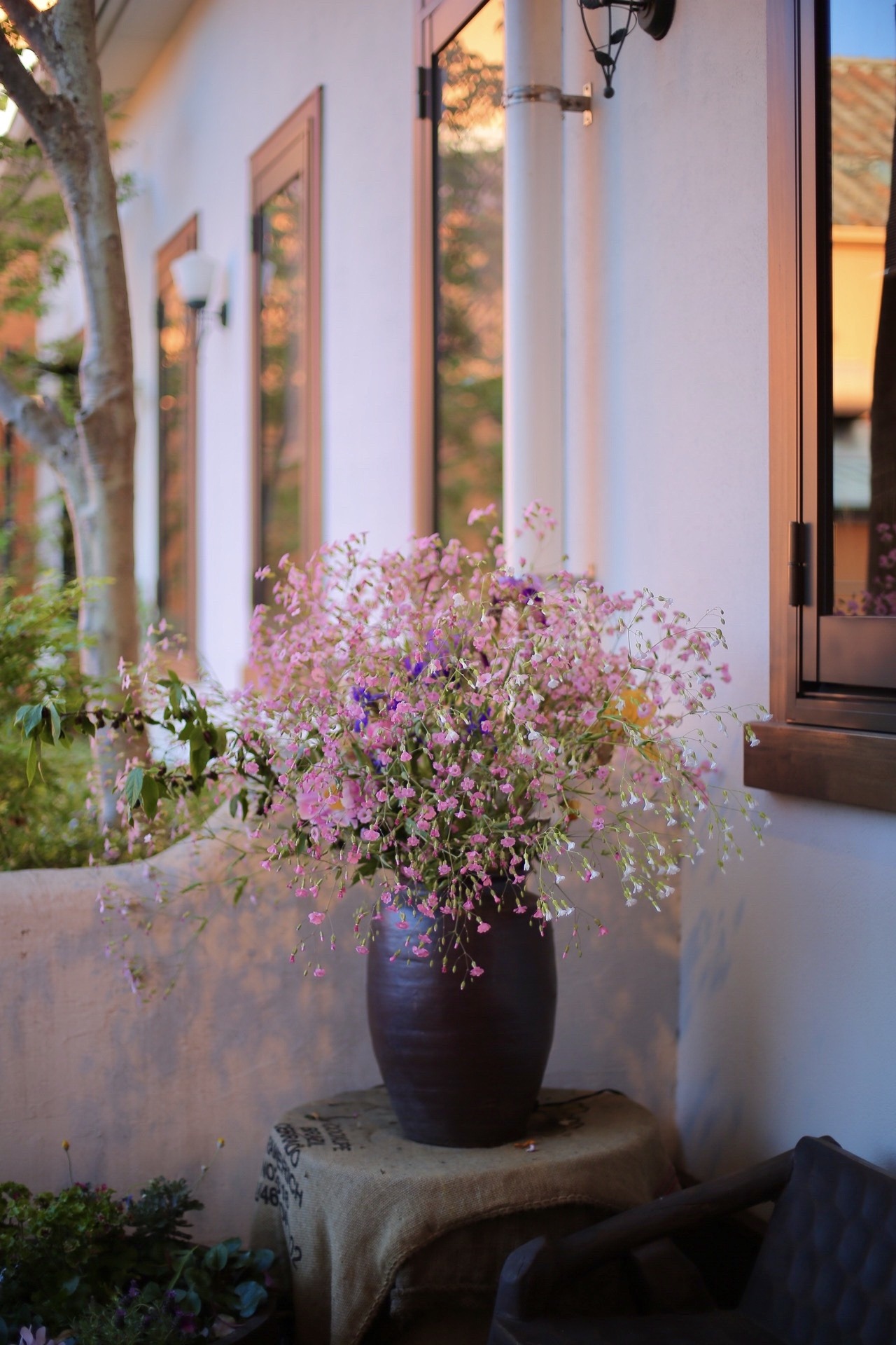 AC000E83-2D23-4753-A180-49ACE573C394.jpeg