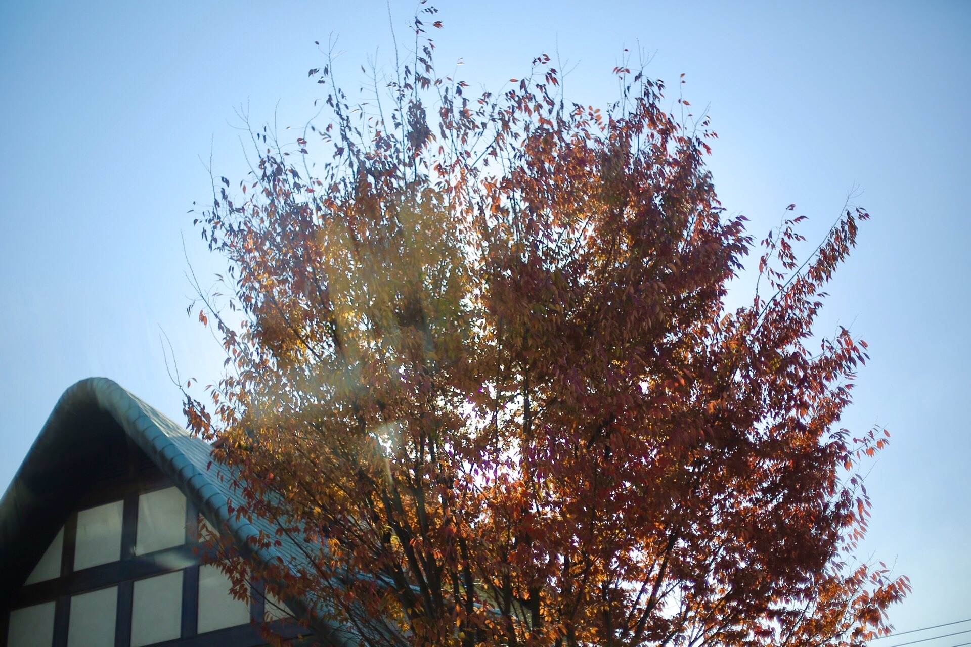 ADE9F251-1D41-485C-A439-655EB574FF01.jpeg
