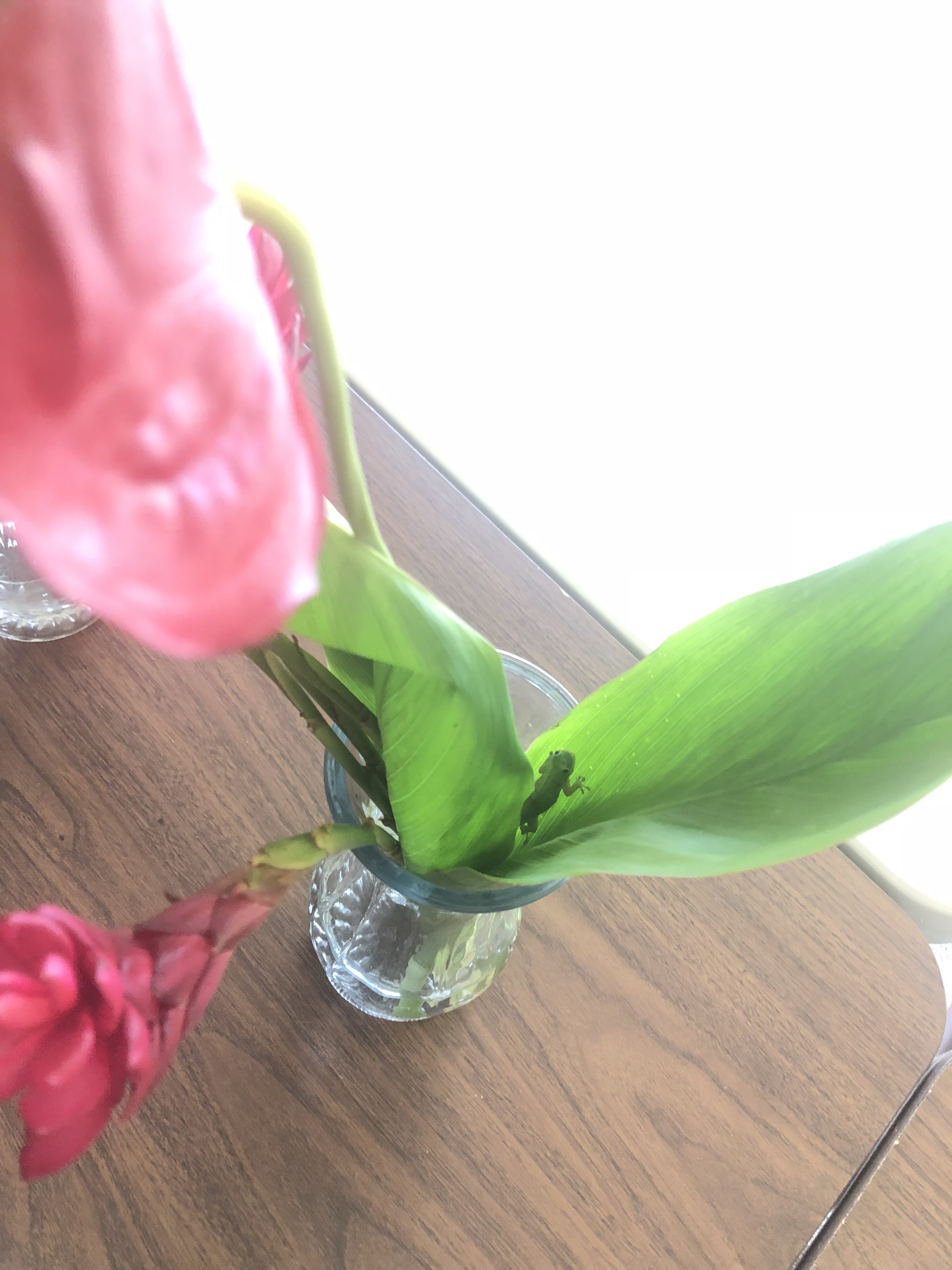 AE1E4CAA-275E-4C7D-8687-BC3AAD5222F7.jpeg