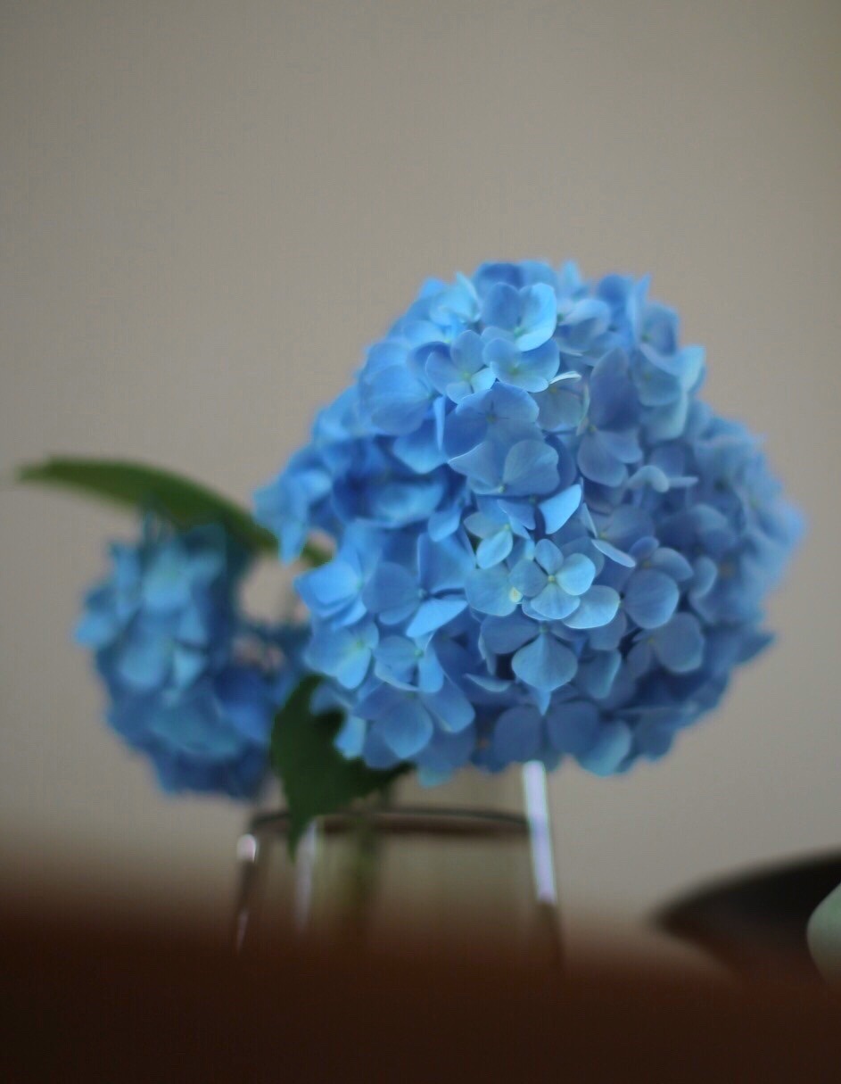 AF1CB11A-29F2-45ED-B967-CF6661CA44FB.jpeg