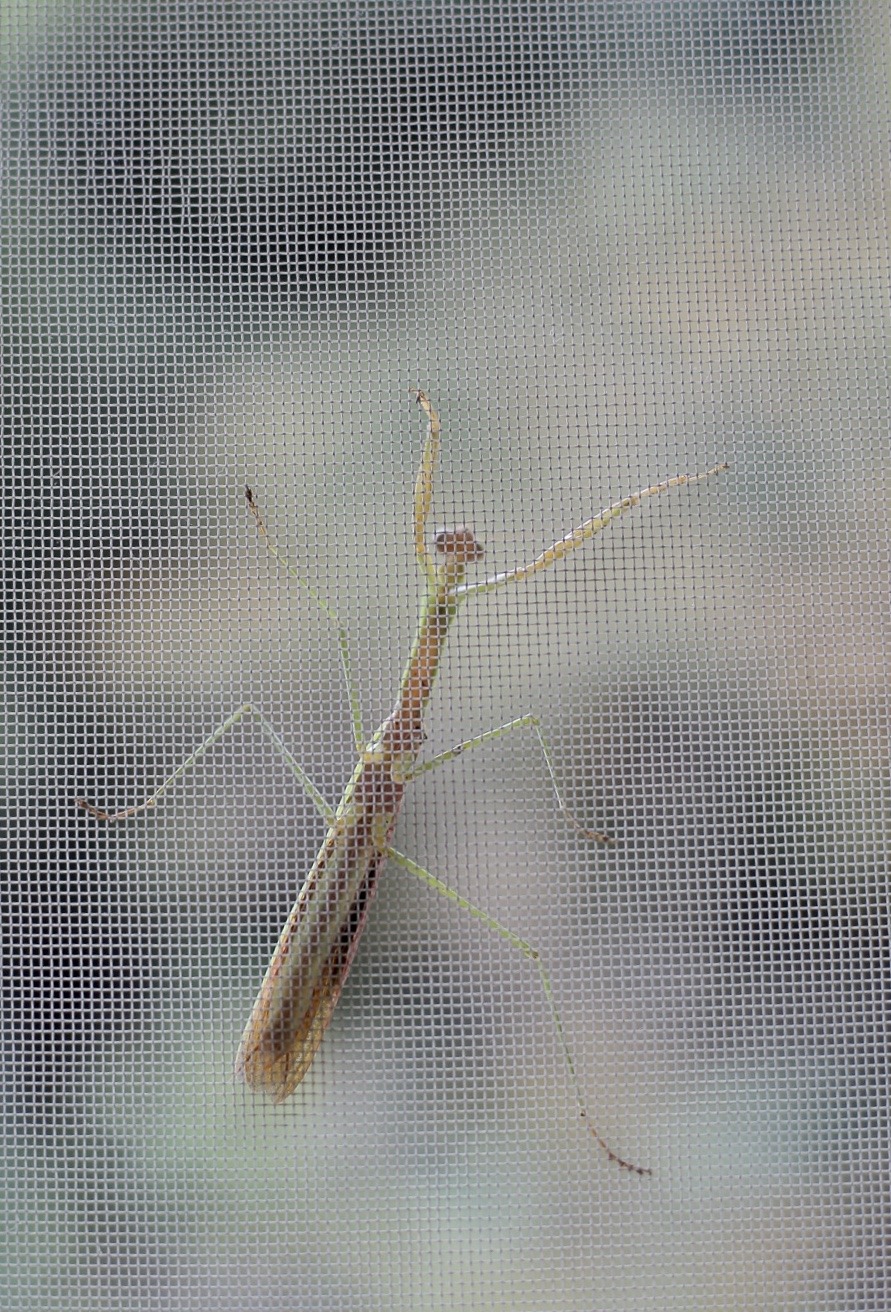AF4AE665-9CB6-4D5B-A63A-3AA78CDECA49.jpeg
