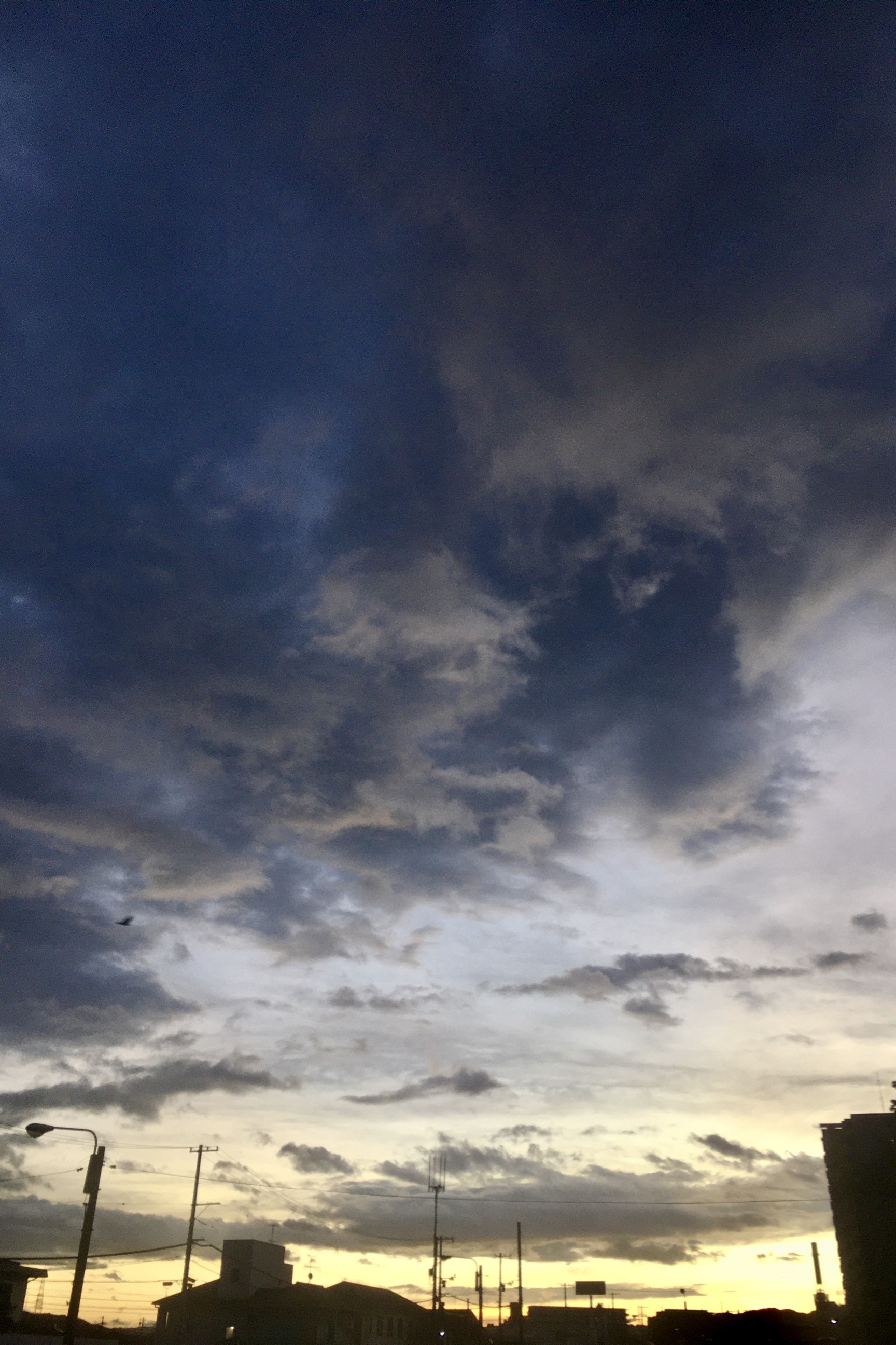 B17C961D-C5BF-4AAF-B952-F3C962391456.jpeg