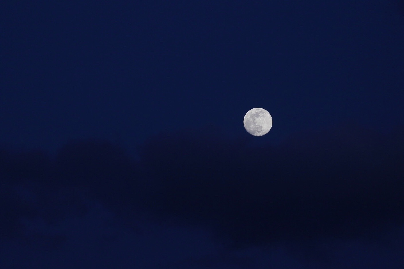 B307AEC6-648F-4C31-A73E-49BA8DB959FE.jpeg