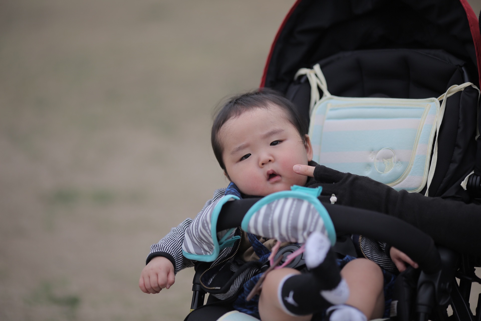 B32B90BF-4AEE-45BA-8366-6CEFB75ED3DE.jpeg
