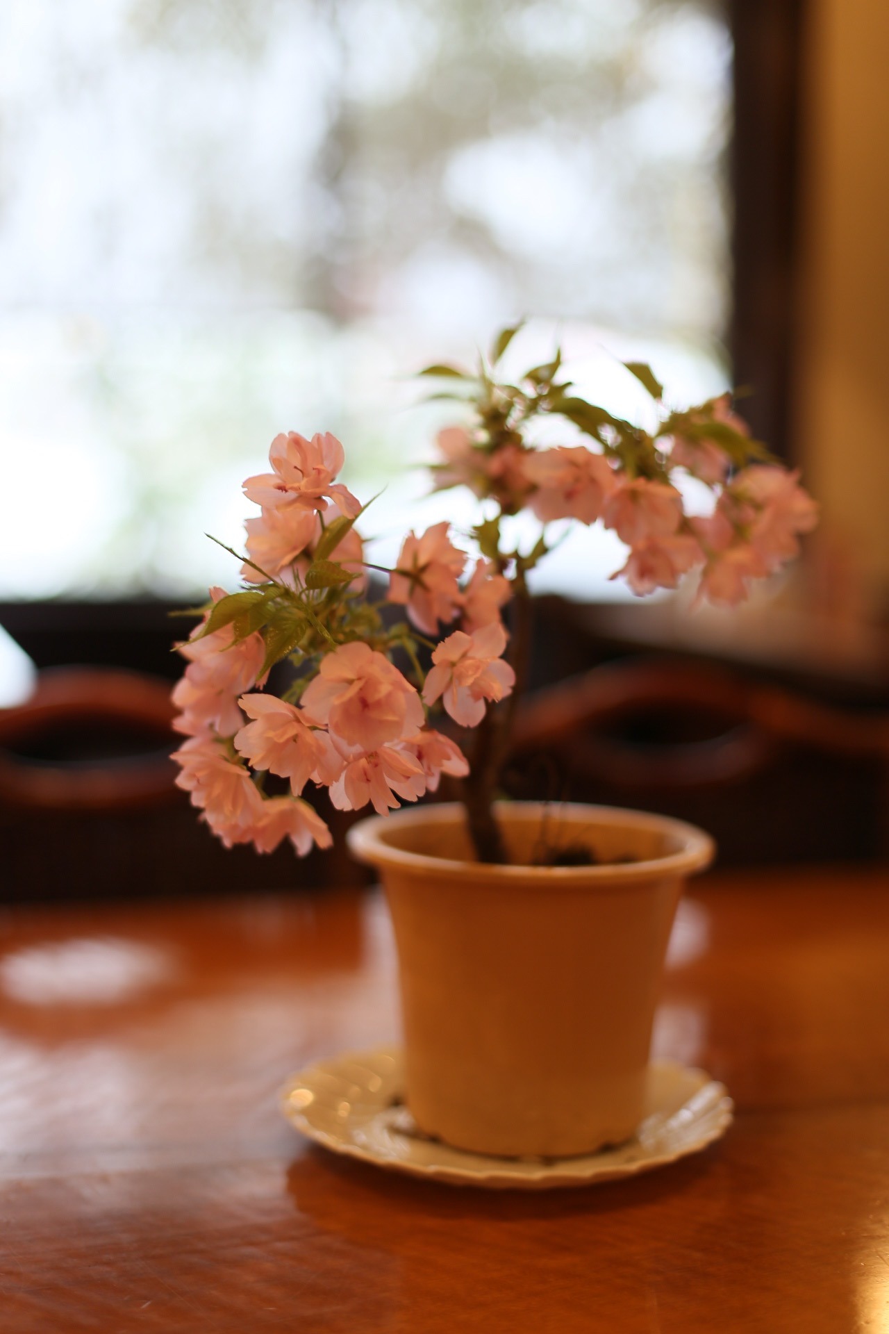 B33BEF5F-5F68-493F-8F50-FD9B70FD3CDF.jpeg