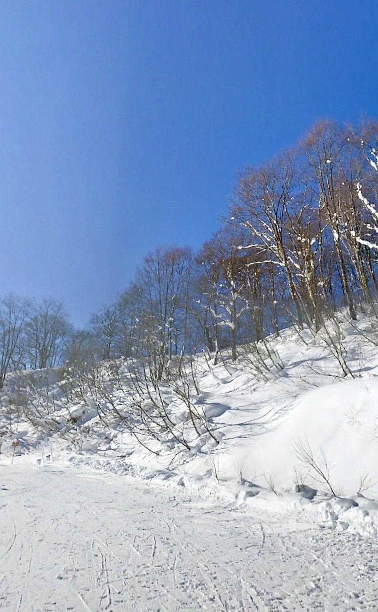 B3C939D1-8EDB-4C37-B3A6-C61001C8C8D7.jpeg