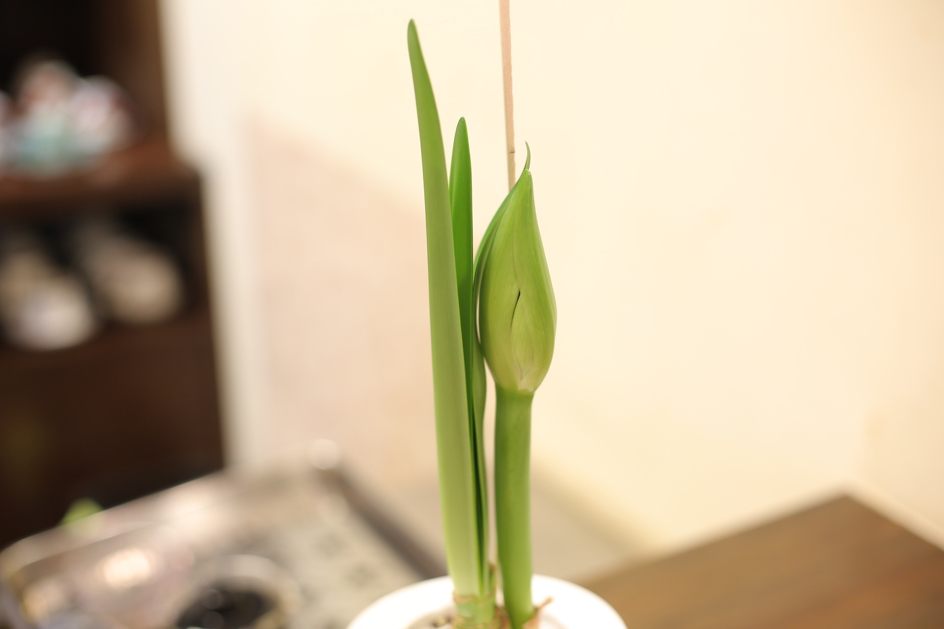 B6A2447D-CA2C-42F8-ACF0-3379EC722C06.jpeg