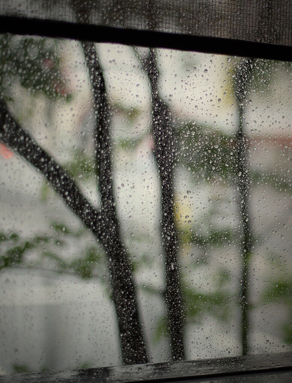 C1FE673C-4D3A-415F-B15E-83CE0CD7B723.jpeg