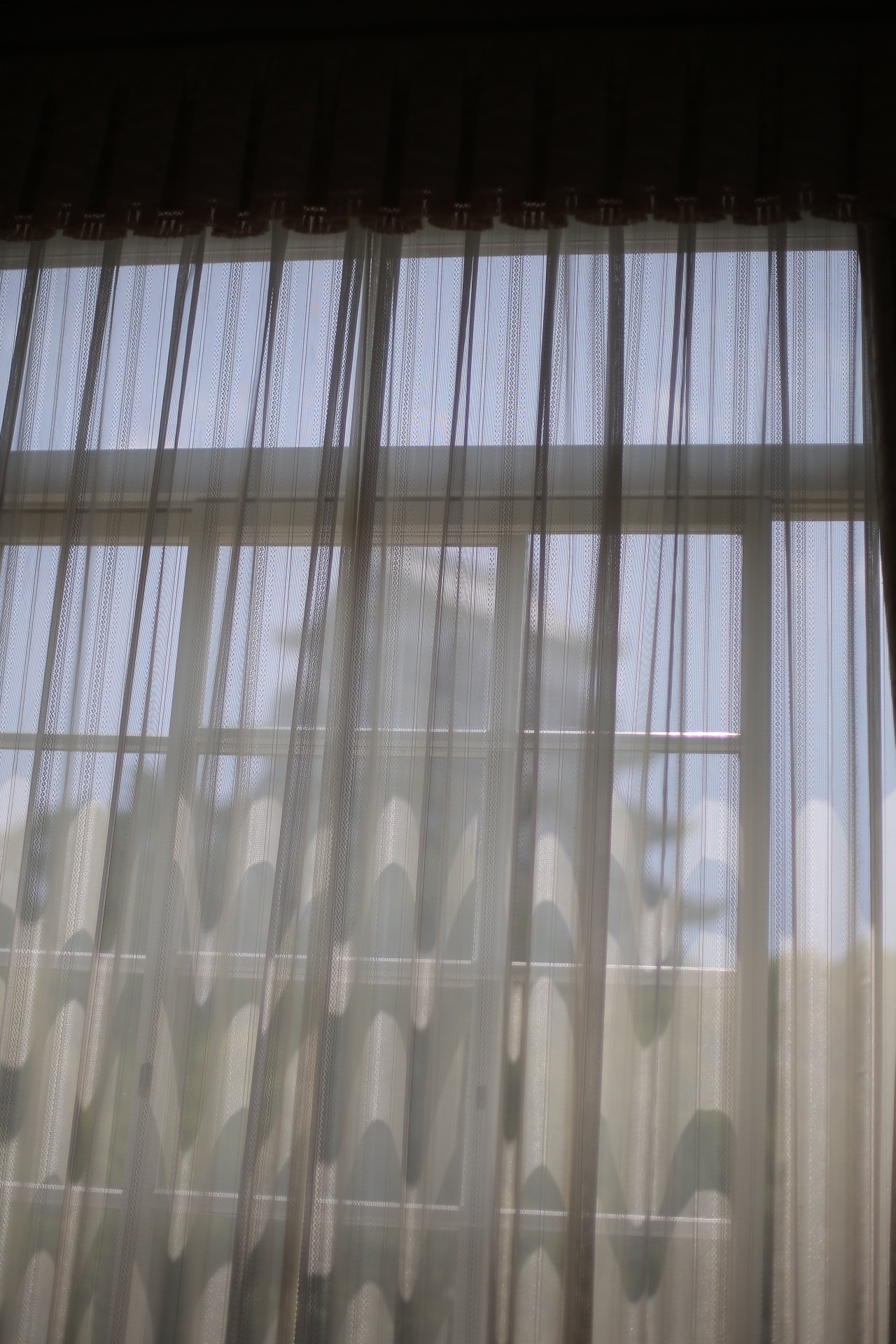 C261CC0C-A55C-4CA5-BC0B-C3362A4D6663.jpeg