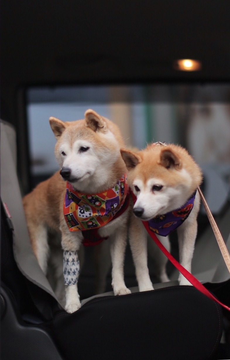 C3601447-5F17-44E7-BF74-C884A8A60735.jpeg
