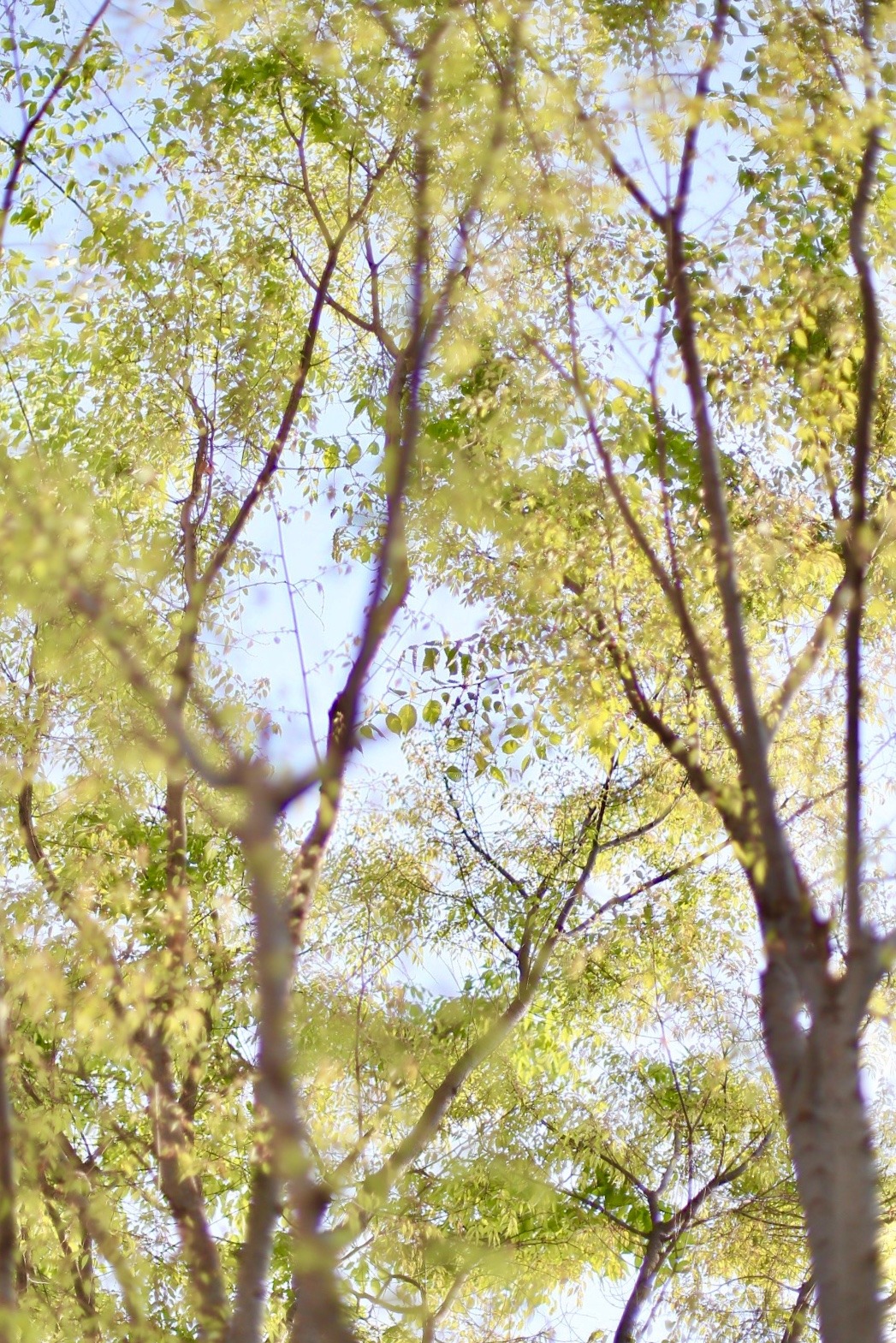 C79BD3DB-22B9-48FD-8CBE-B8881202A79C.jpeg