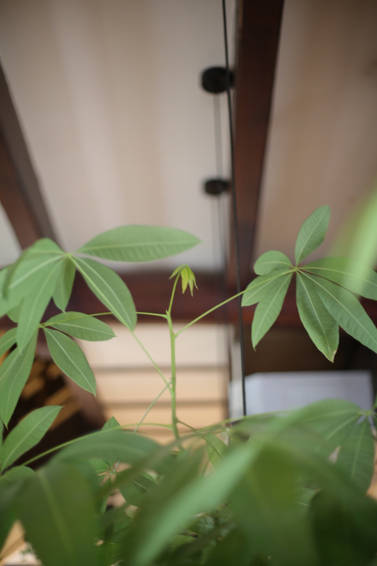 C8947797-8EFE-4D04-BC71-0B23A34ADB37.jpeg