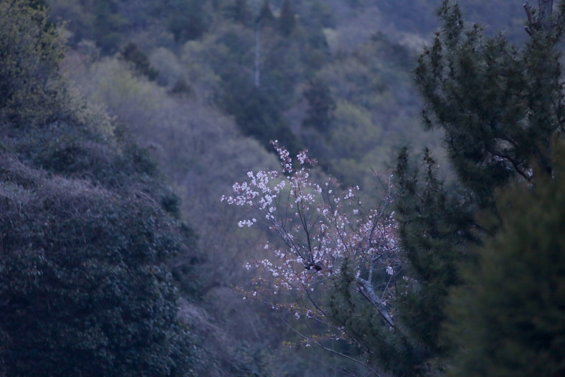 CAD90B33-15DA-4703-BD5F-1B01BAC8C936.jpeg