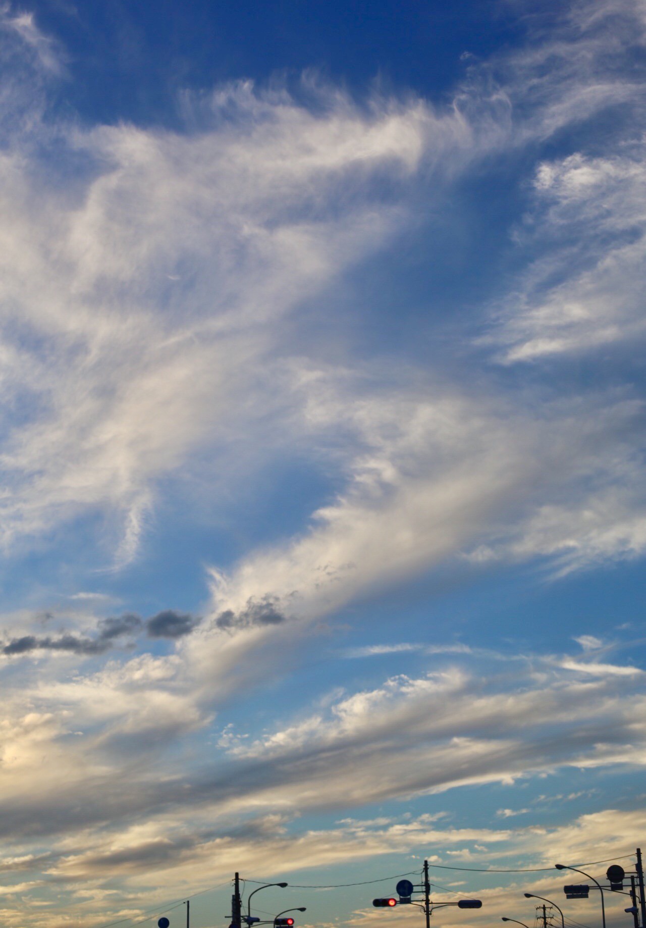 CCC5DF0A-B152-4CFB-A45E-2117A8800BF1.jpeg
