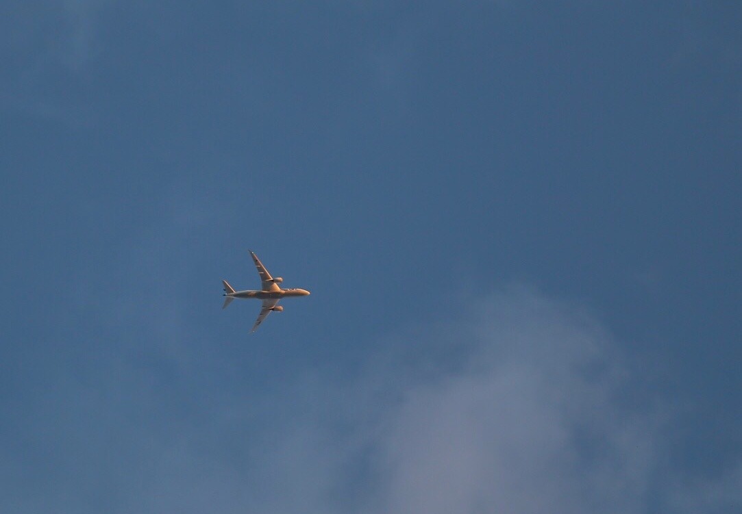 D24021DE-194F-4075-A75A-A7164308A943.jpeg