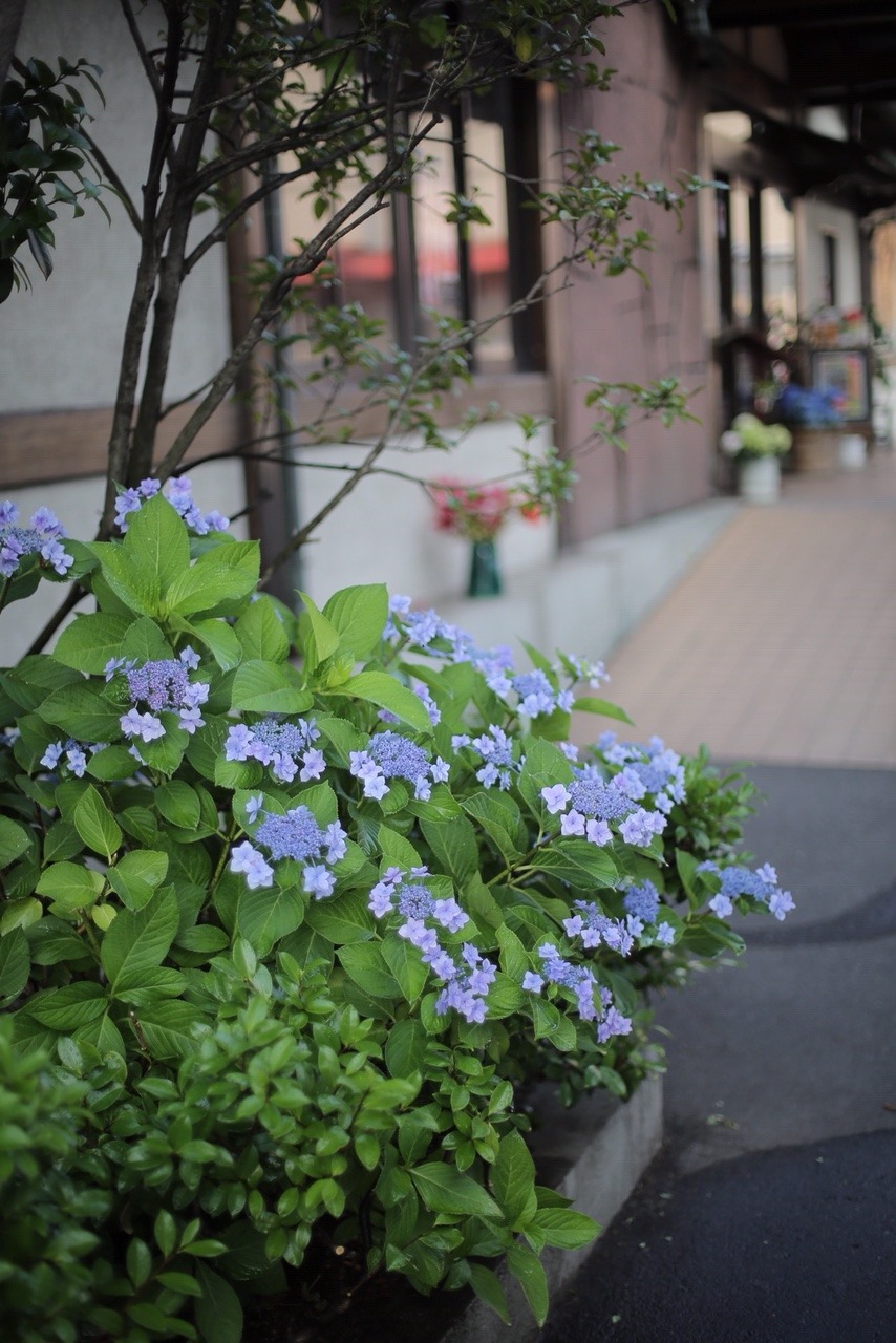 D3668E7A-4F10-44CC-83E7-B68EE9E6133C.jpeg