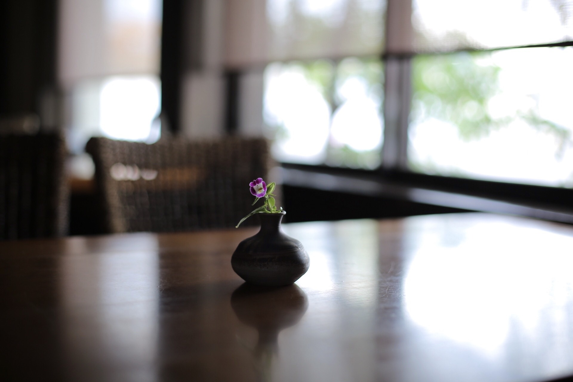 D6DFF100-0970-44D6-AC86-CEE2F91A28A1.jpeg