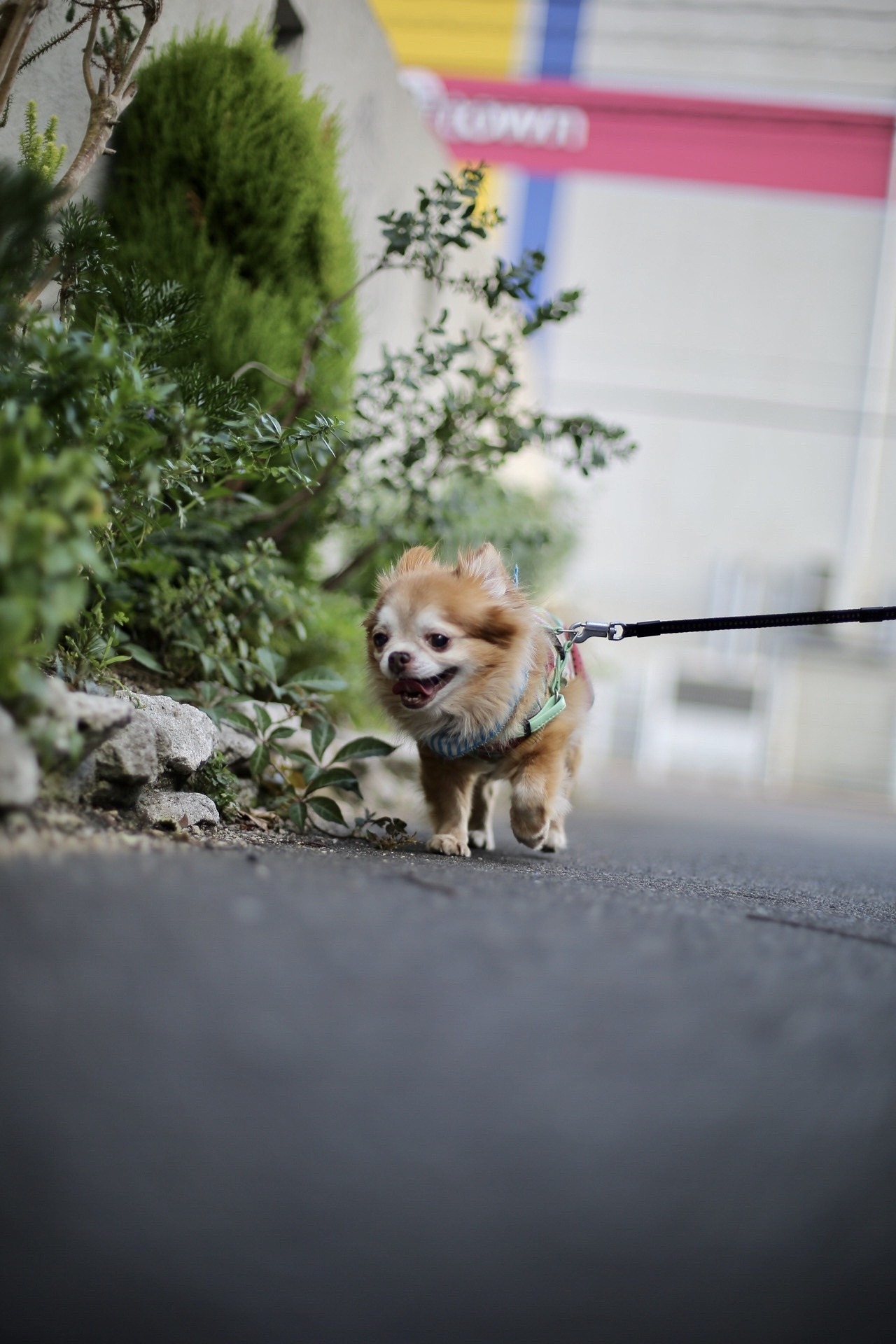 D6F21839-E783-4361-8840-B60F00A6906A.jpeg