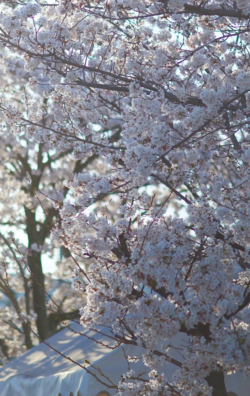 D7884549-7F4C-41BD-A2C3-C2EBBC113947.jpeg