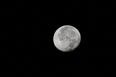 D8136C6A-5B27-43D2-A2FD-B33307685751.jpeg