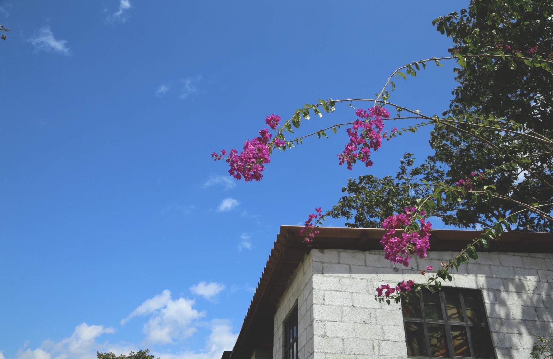 D83D27E7-1027-4497-8785-4DF98E2911A8.jpeg