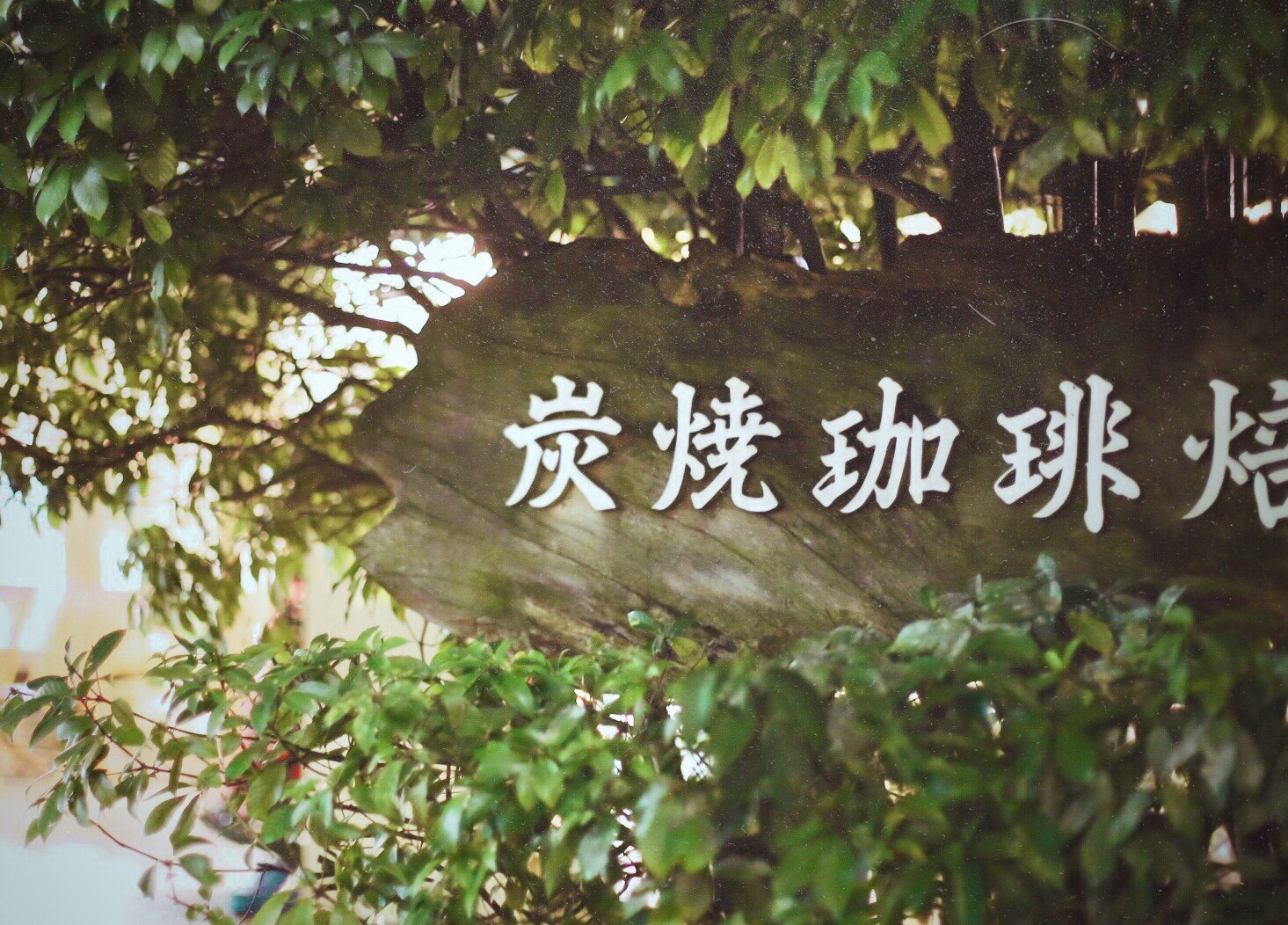 D87955E5-1D7A-4BE7-8AC1-897D85A20AF6.jpeg