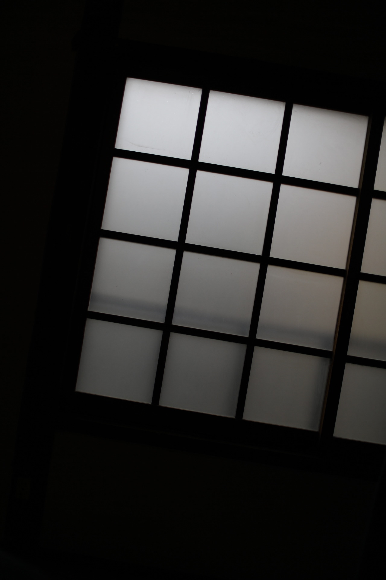 DBBC5463-D05E-4C05-B9EA-0D0554AA78D5.jpeg