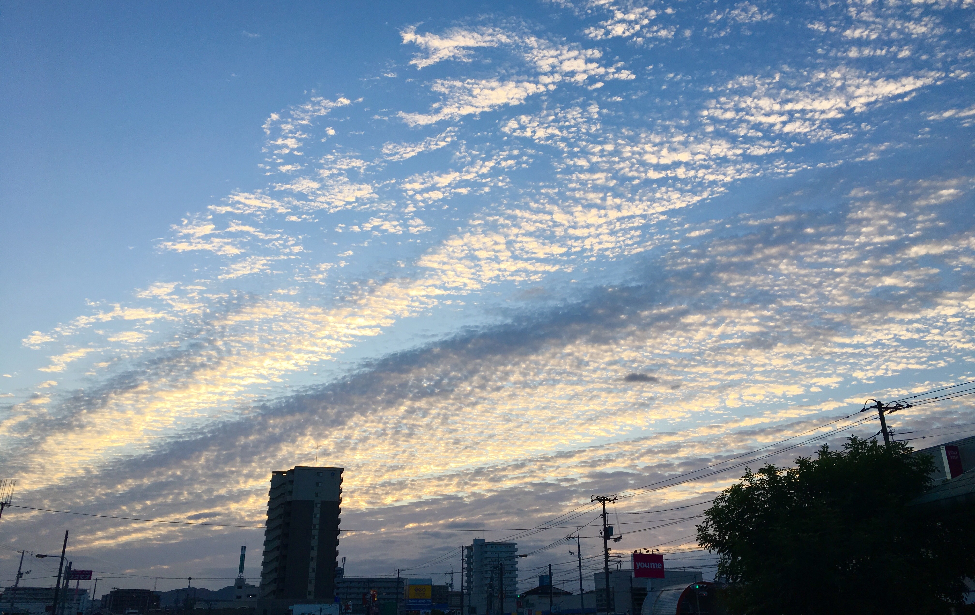 E2F0E1EE-2AB6-431C-ABBF-95297E2050B8.jpeg