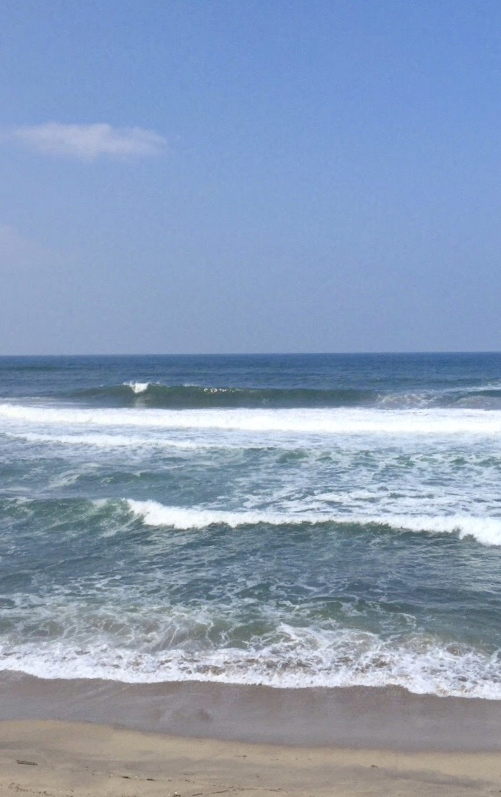 E35328C5-30FC-42AE-89F8-FE6D4E7C6054.jpeg