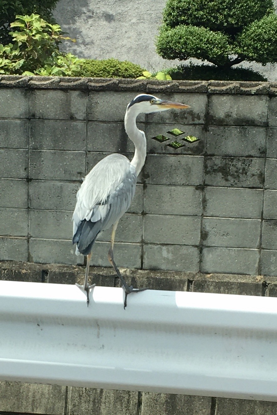 E4374BAF-2103-4FE5-85DA-DA30A29461D0.jpeg