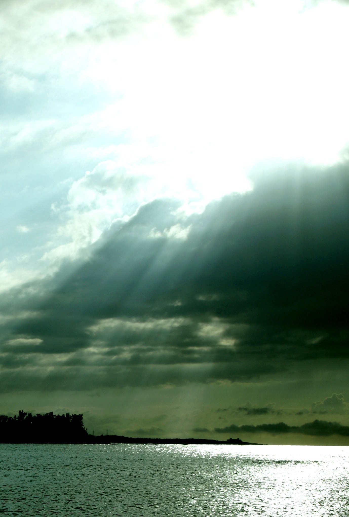 E520D650-0B4E-4145-8D04-06B226ECF50A.jpeg