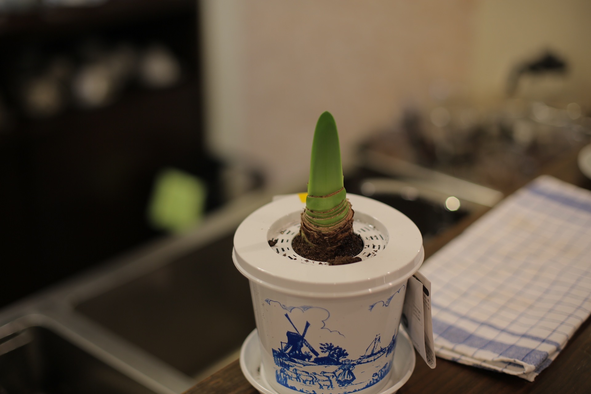 E5A1AACE-66A2-41E3-9C8D-95724350F085.jpeg