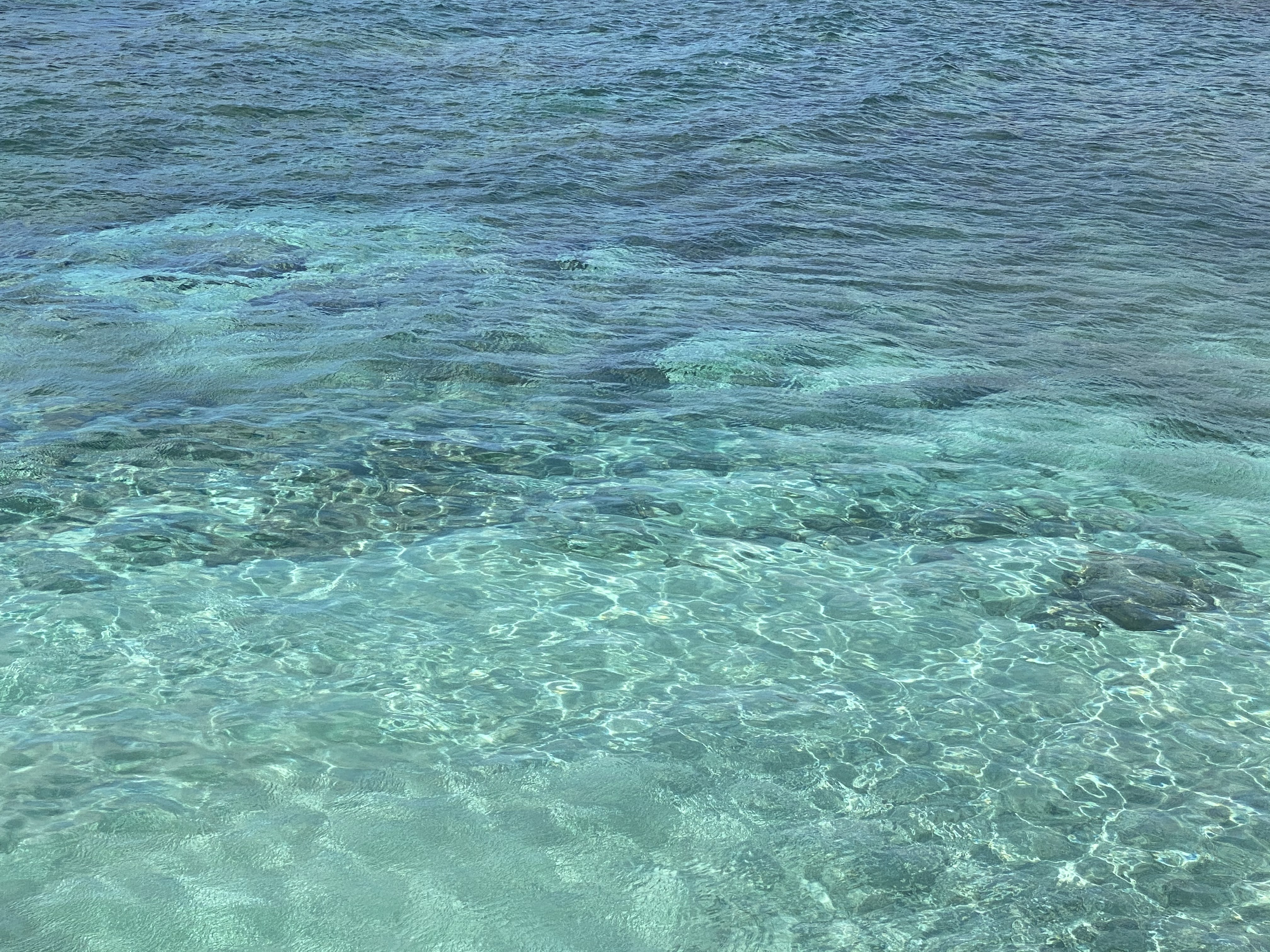 F0232C0D-1993-4335-87D9-255C43D4C2DB.jpeg