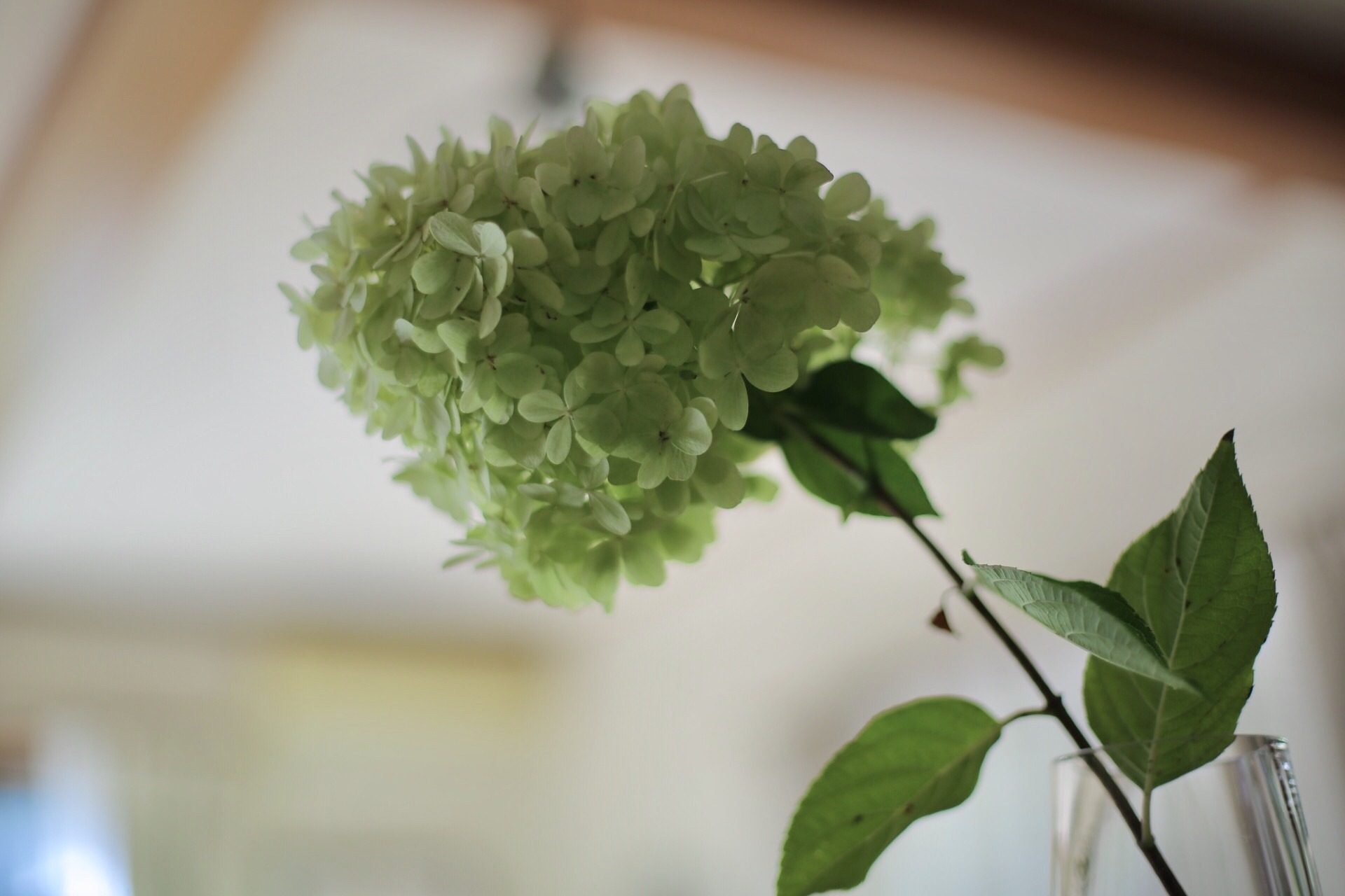 F07D8C22-0FAD-4830-B11F-1517E81865AC.jpeg