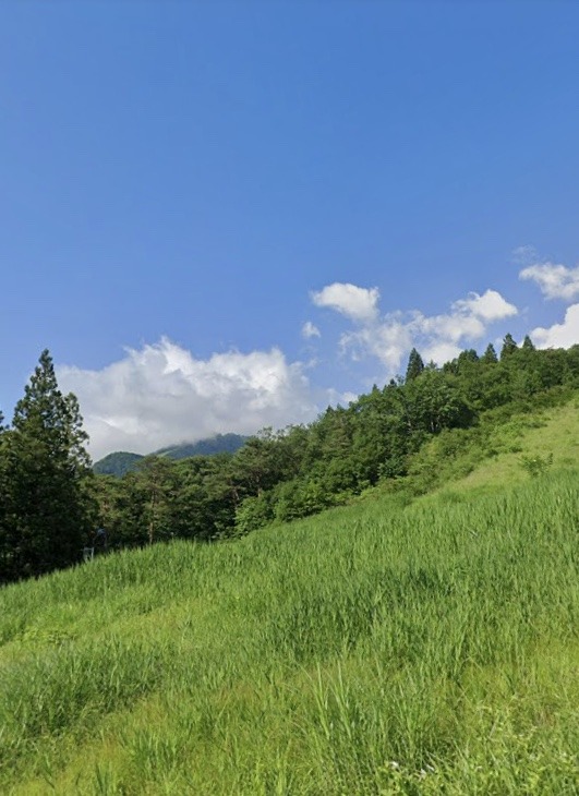 F12AB244-A4EB-447B-9B2A-EC60CDB27C46.jpeg