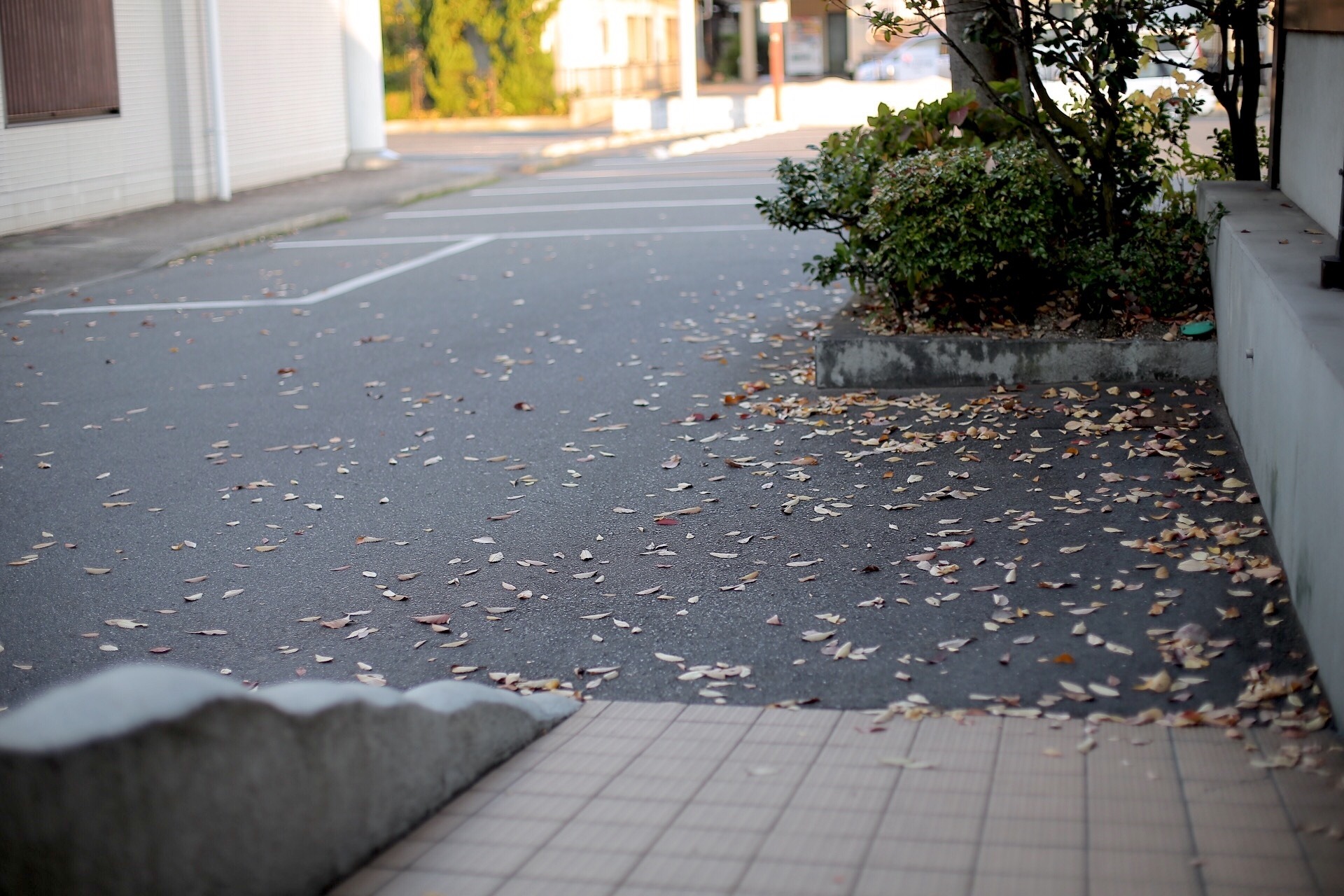 F2C487AB-21F1-45D4-A5F1-BA86CE4642D8.jpeg