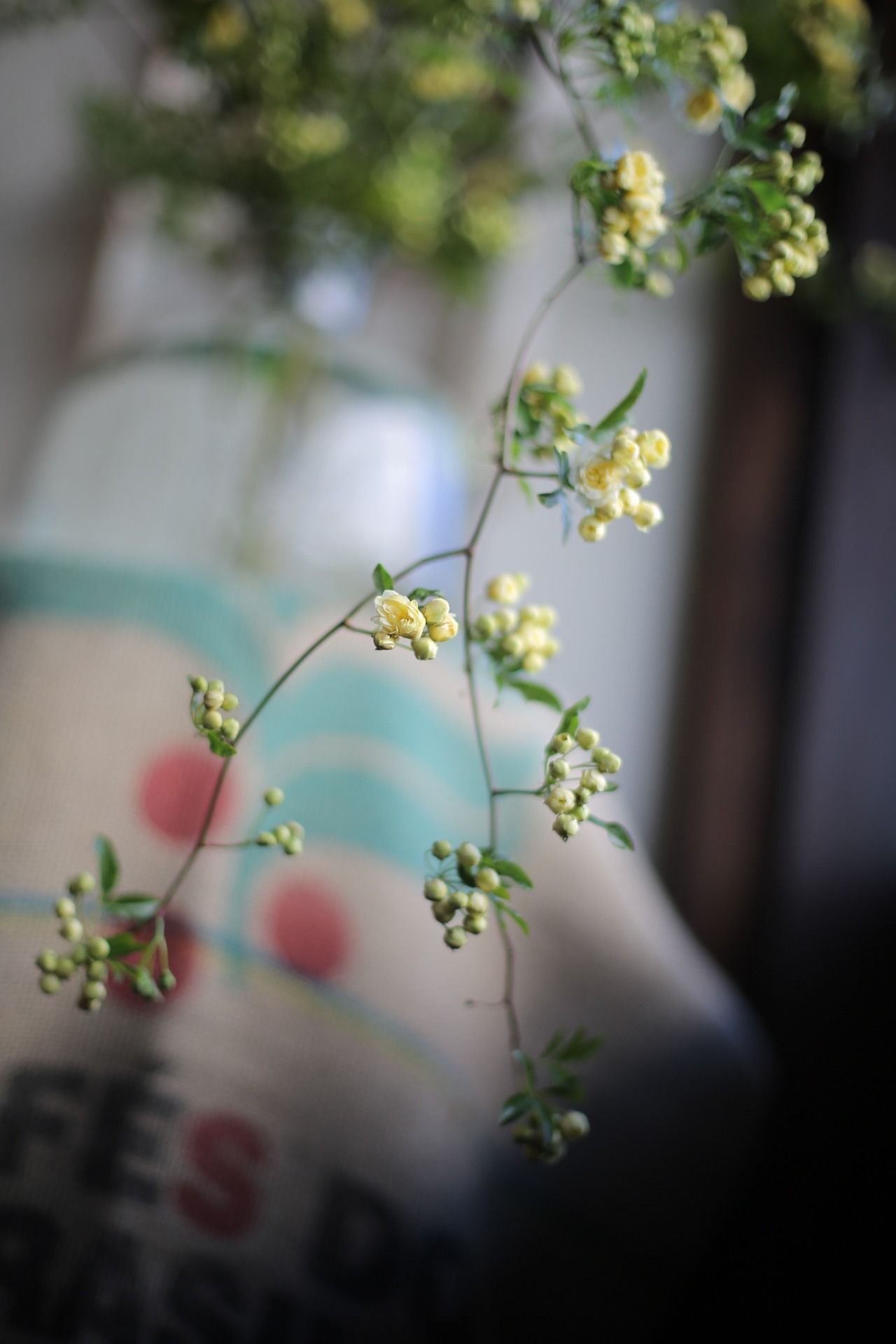 F4D6E4F4-3A6B-4846-81EC-5DE1260E1909.jpeg