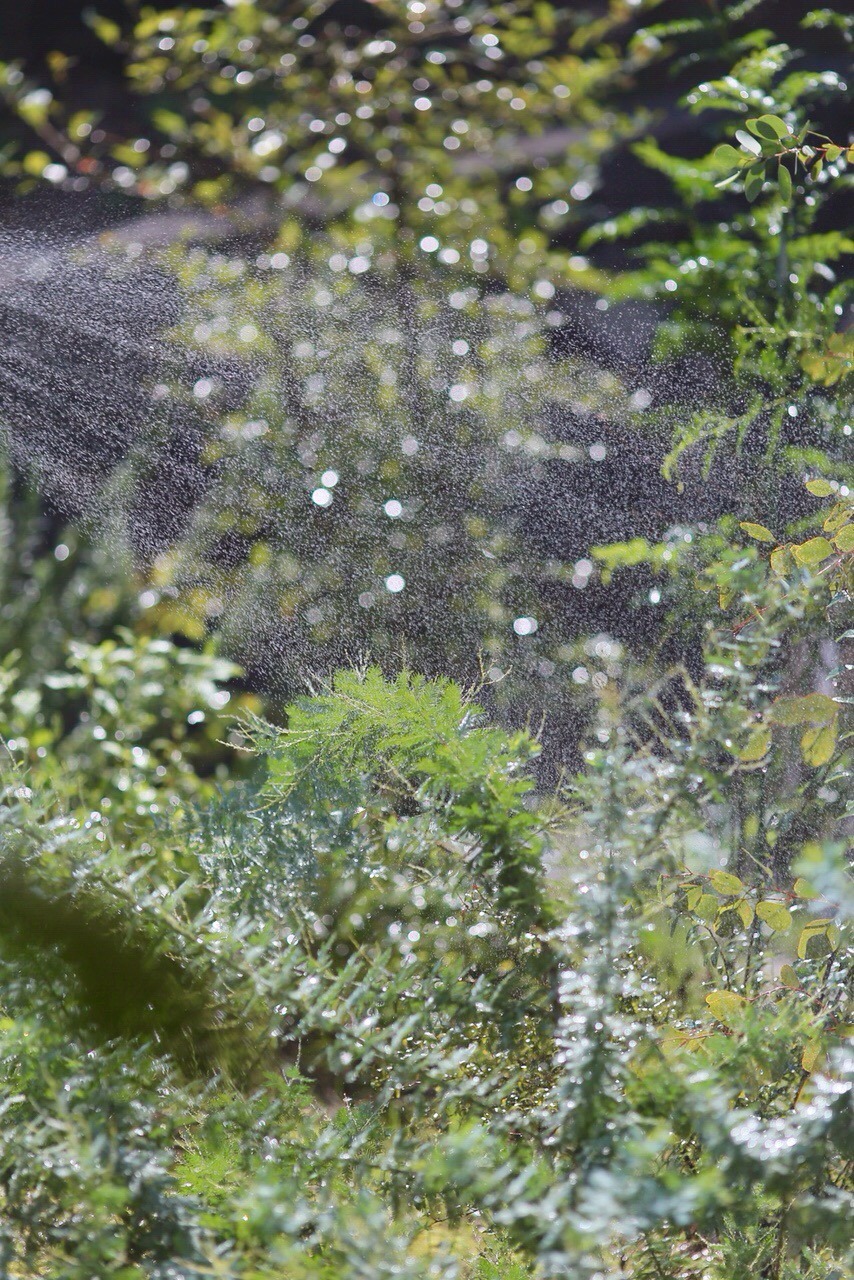 F72650C9-8E92-4281-8D7D-28E7150DD784.jpeg