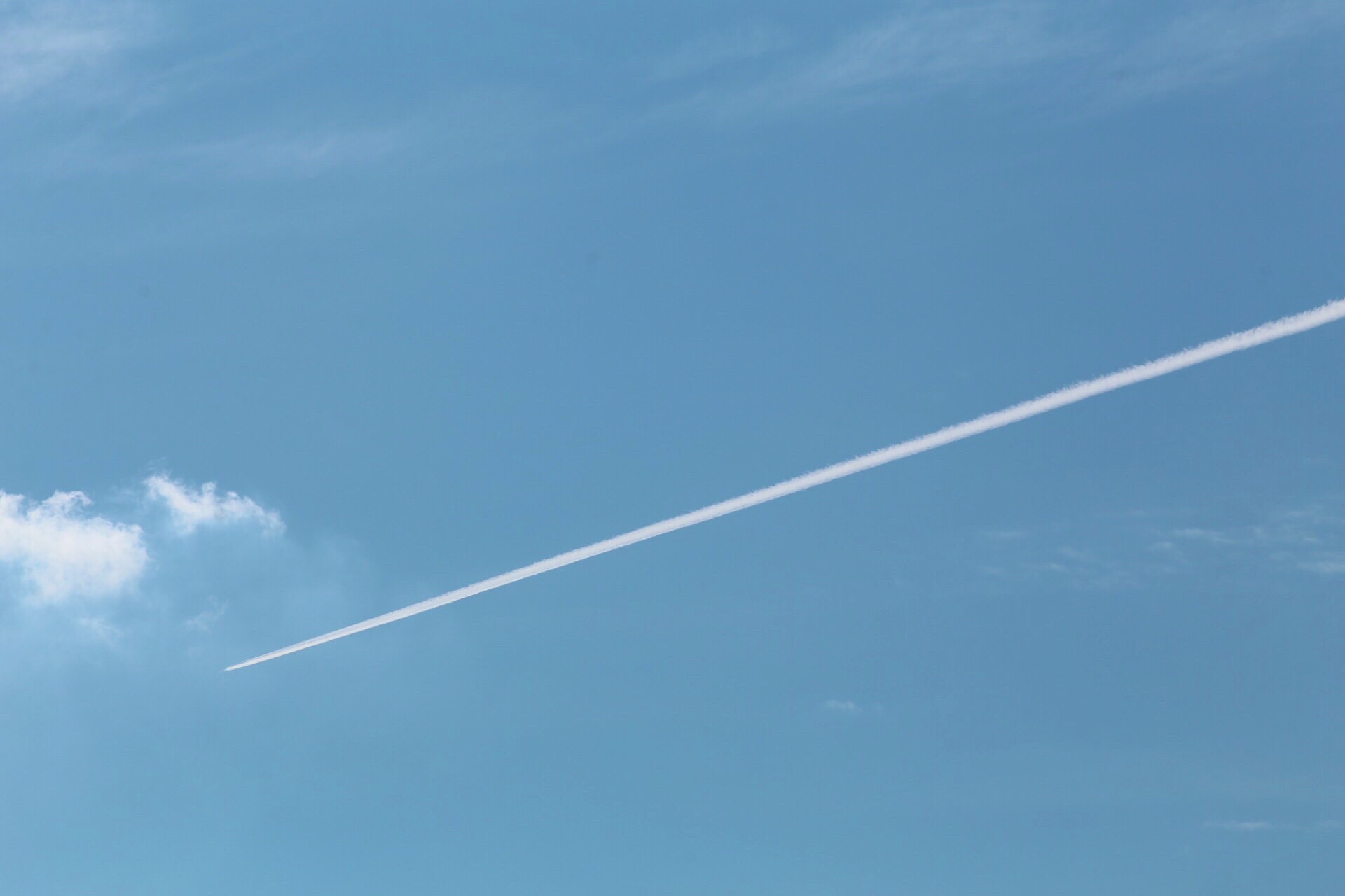FC303973-B8AA-4716-A097-25F09BEC5353.jpeg