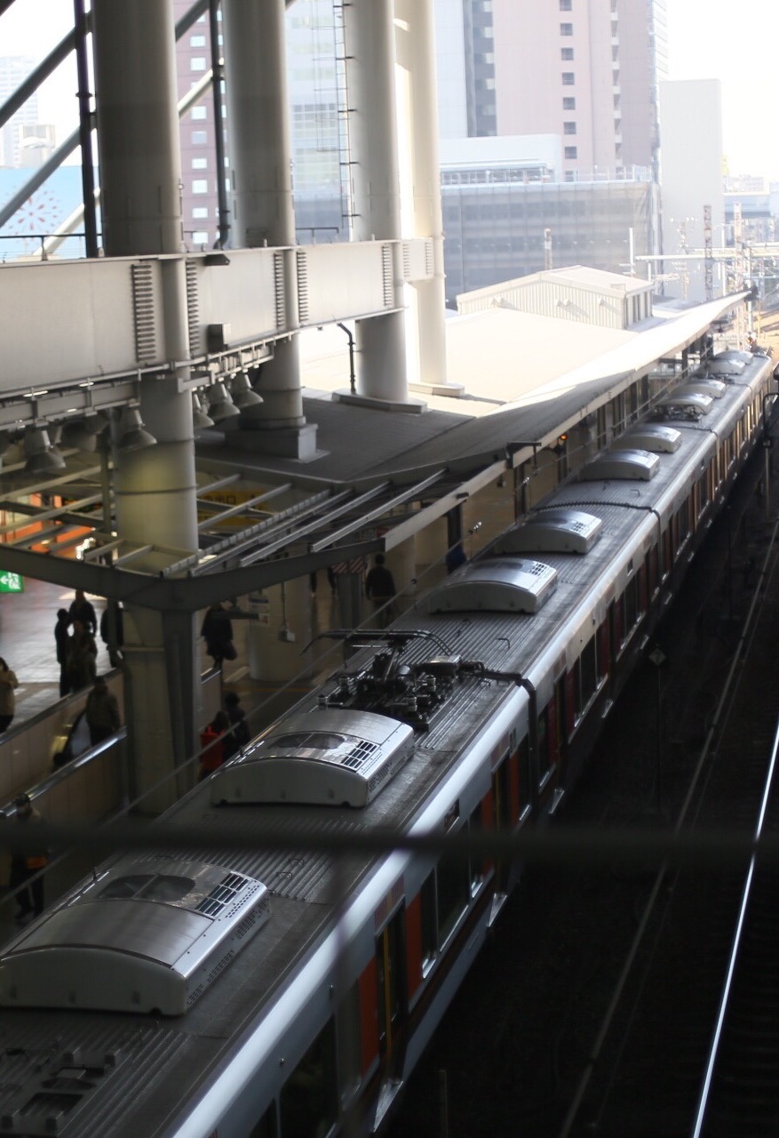 IMG_7953.JPG