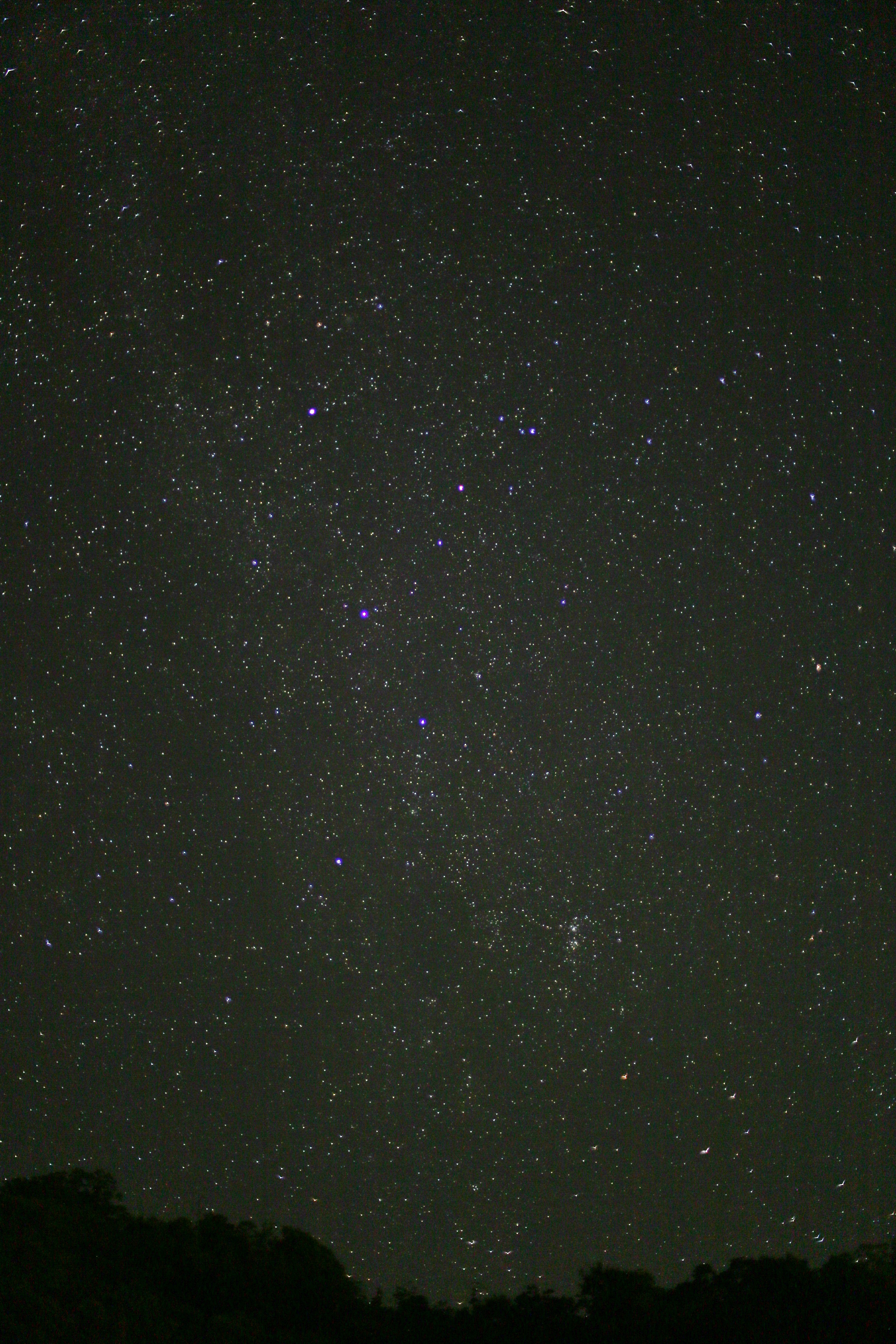 IMG_8301.jpg